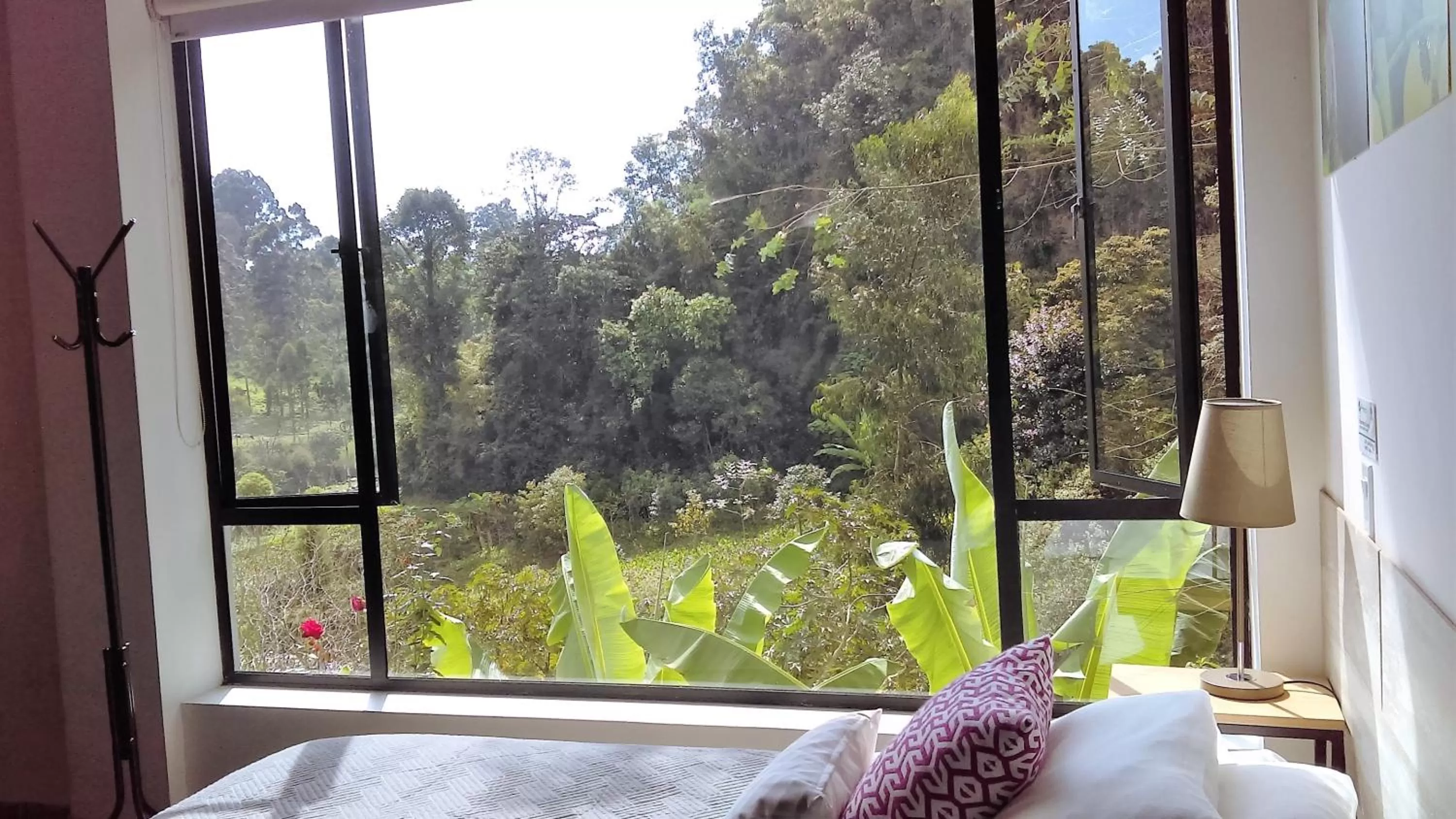 View in Hotel Termales Tierra Viva