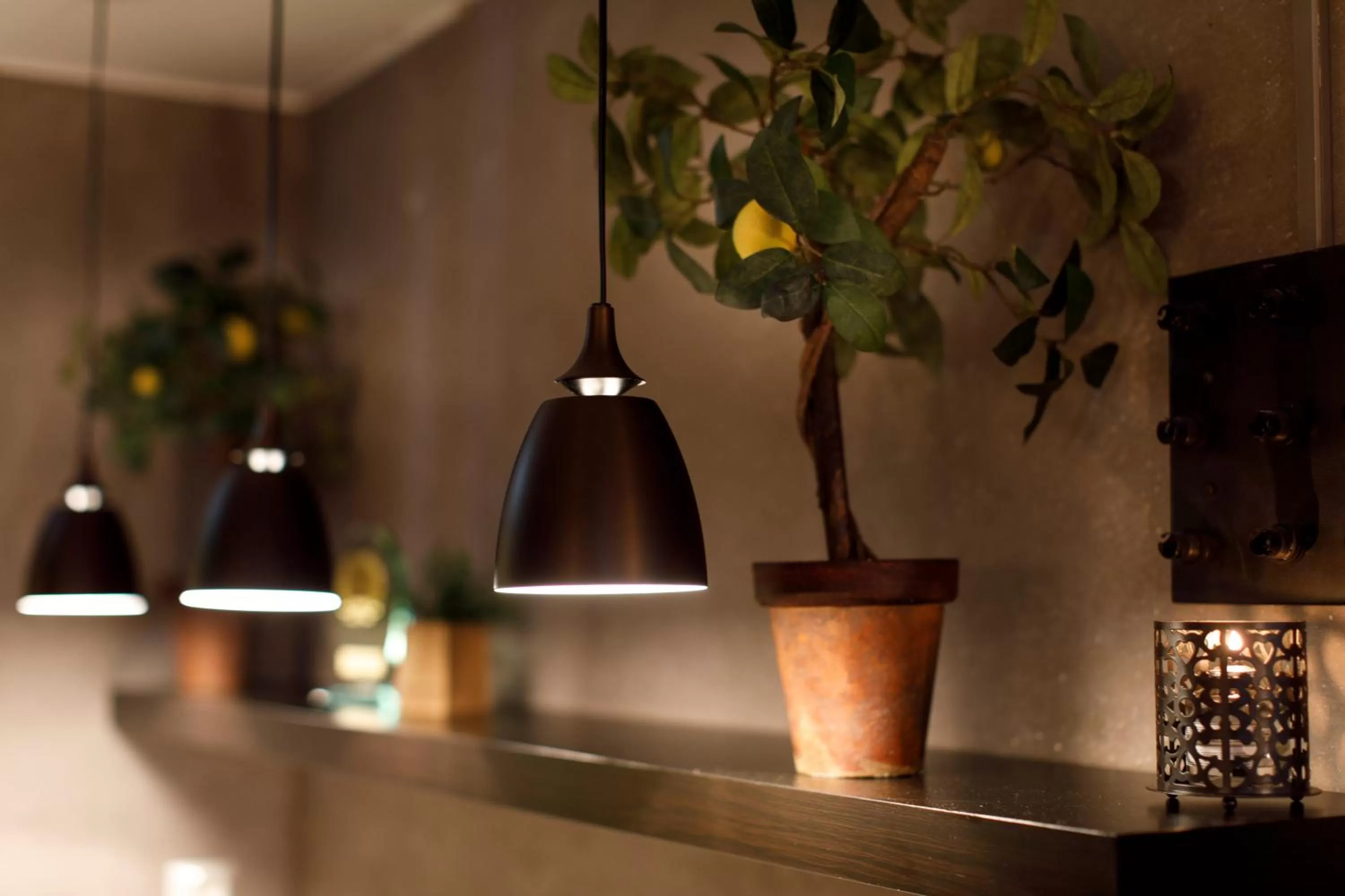 Restaurant/places to eat in Saga Hotel Oslo, WorldHotels Crafted