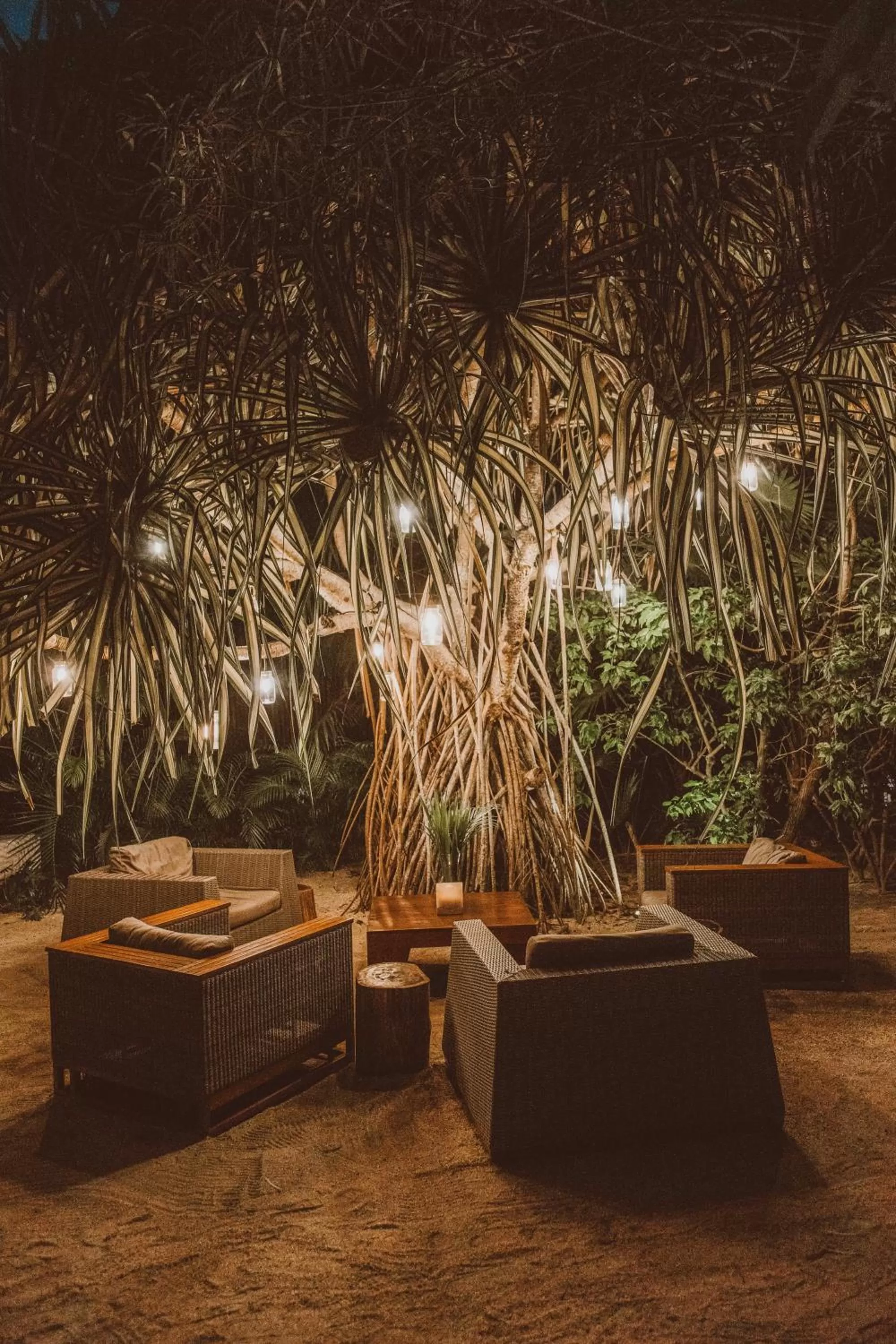 Patio in Jashita Hotel