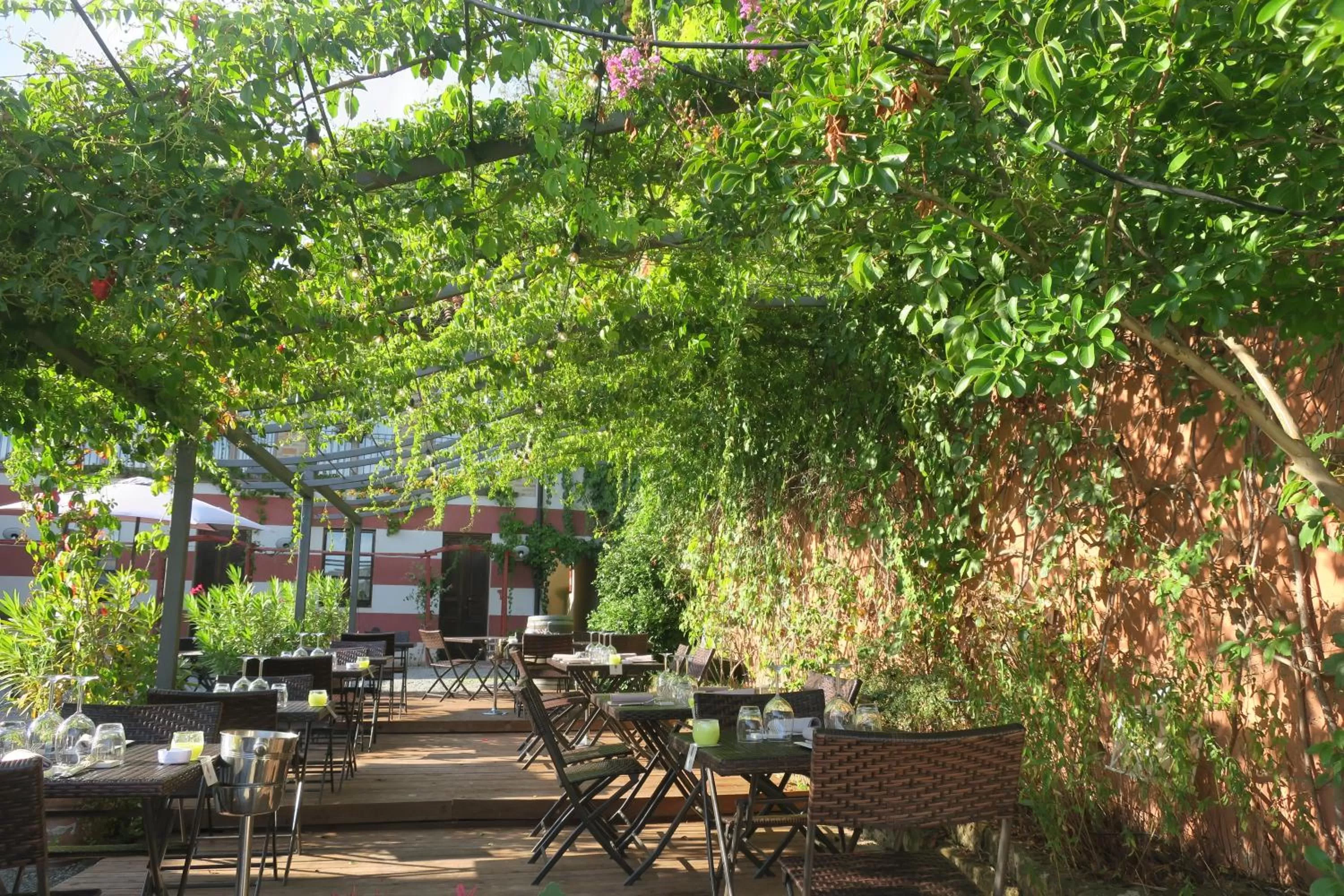 Restaurant/places to eat in Foresteria Ristorante Conti Roero