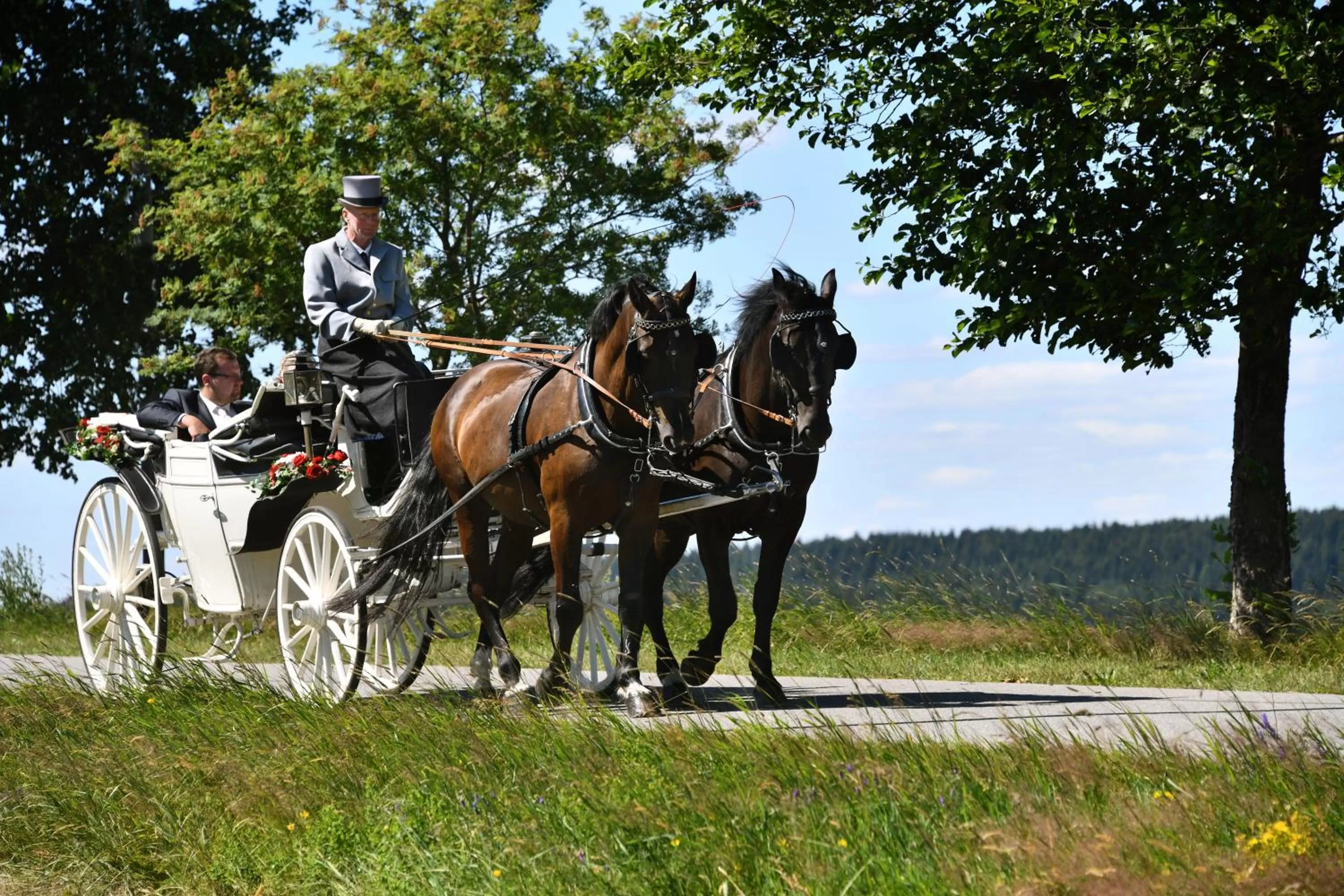 Summer, Horseback Riding in Waldgasthof Bad Einsiedel