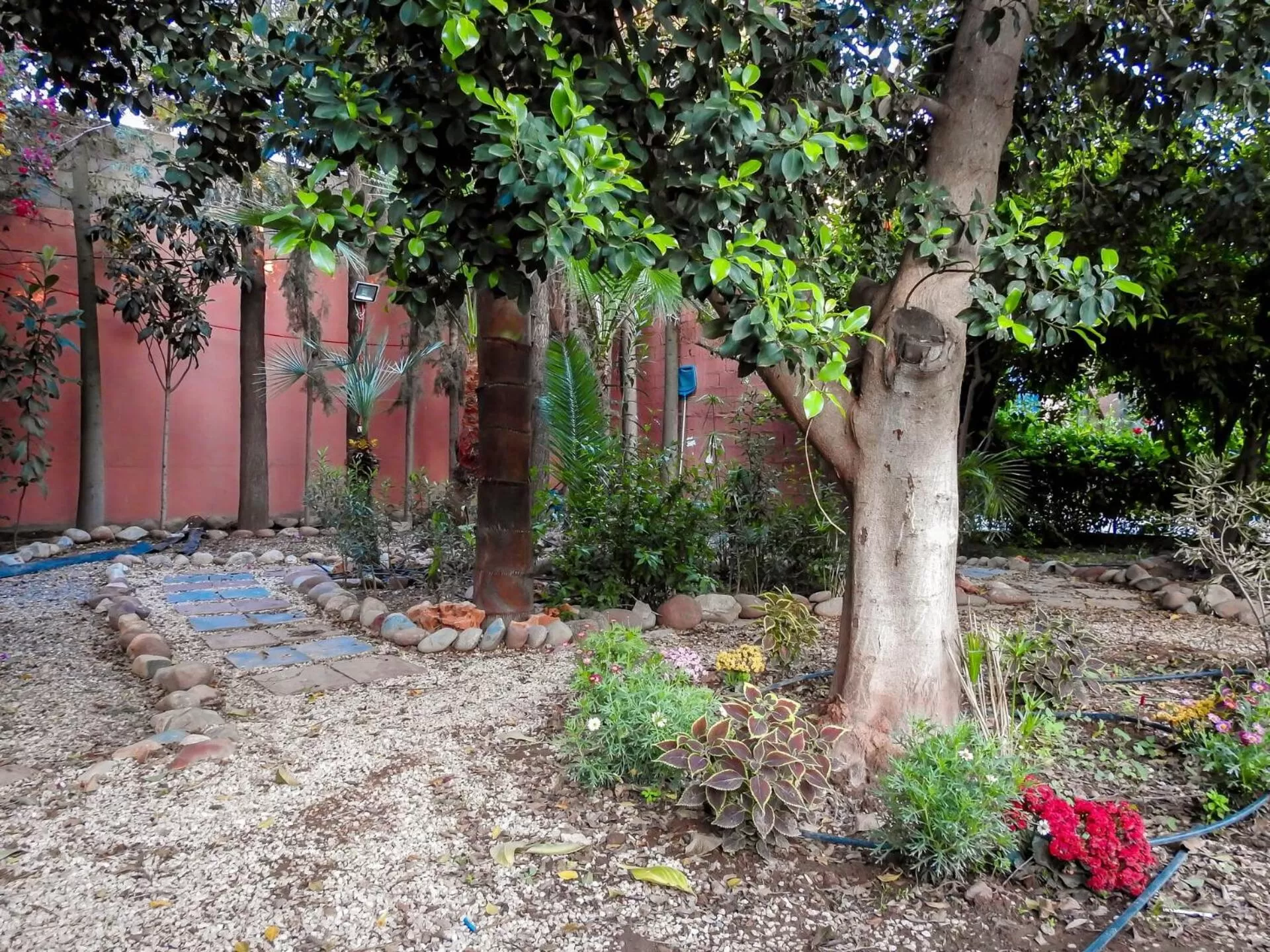 Garden in Le Bleu House