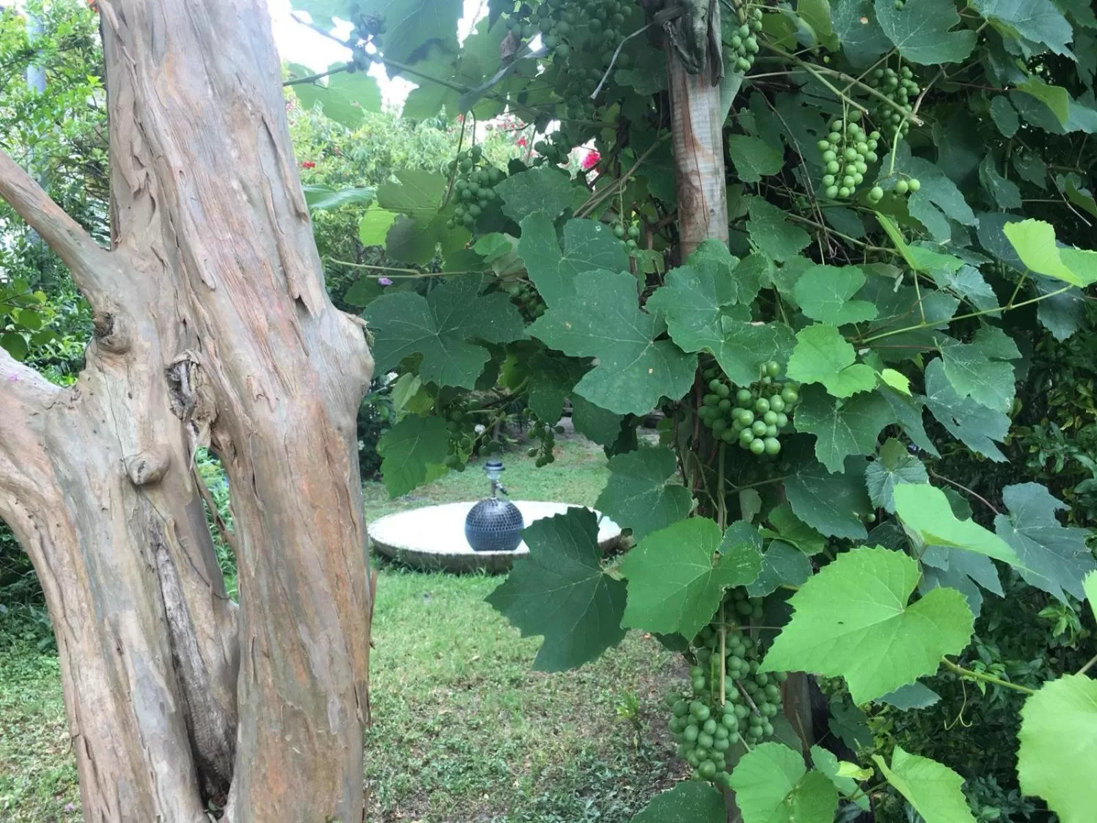 Alla Rotonda dai Santi