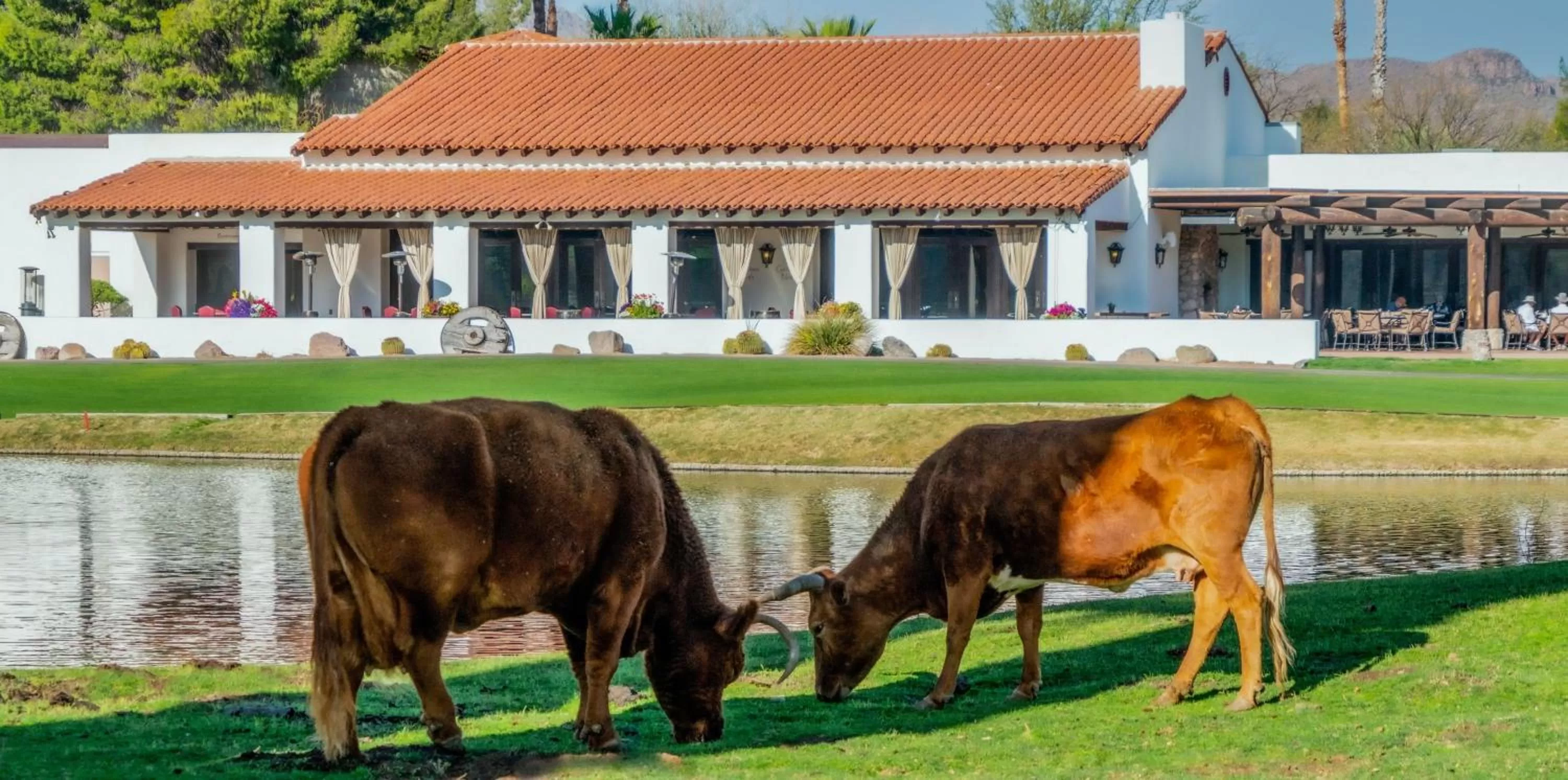 Tubac Golf Resort & Spa