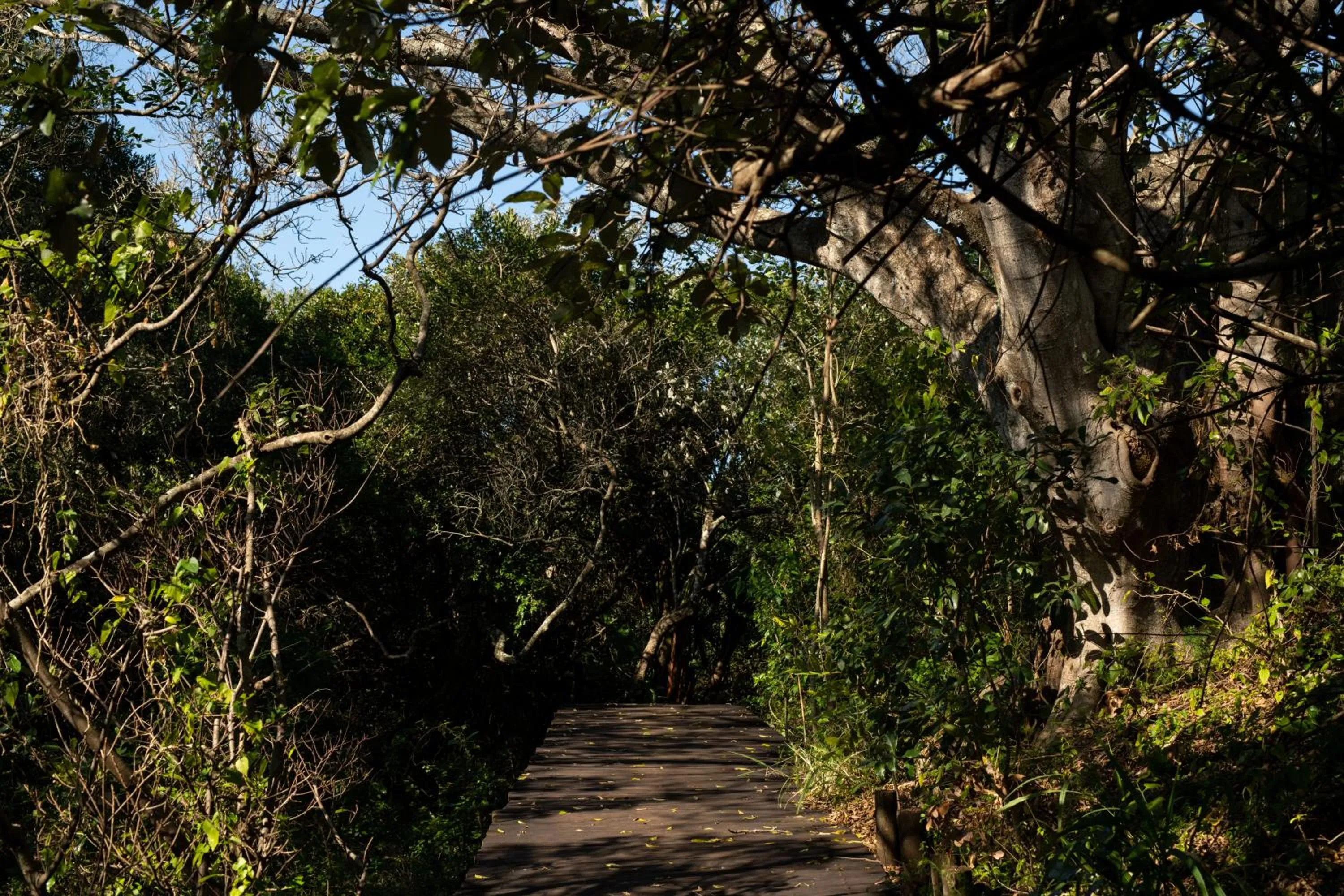 Property building in Prana Lodge