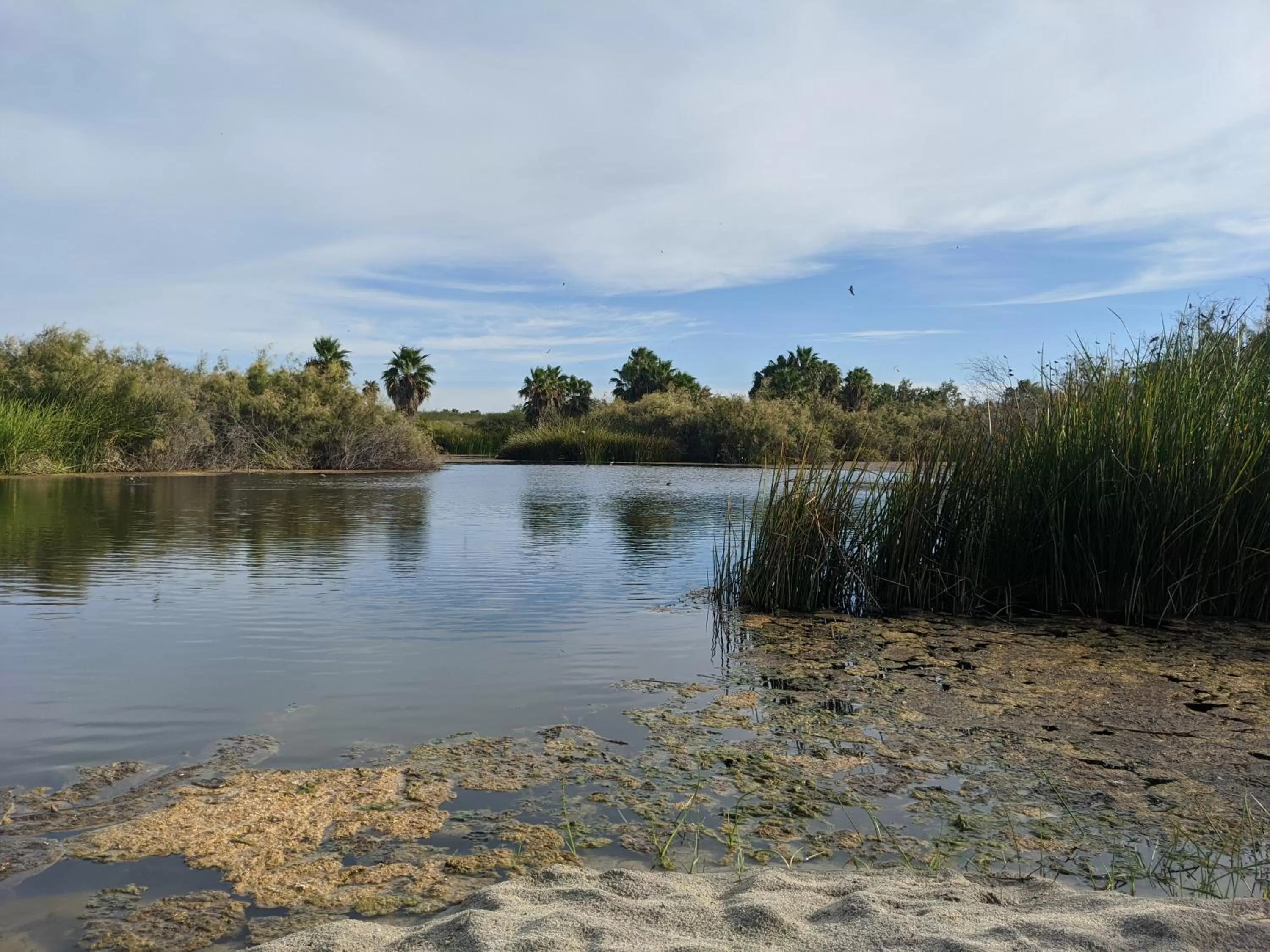 Natural landscape in Hacienda De Palmas