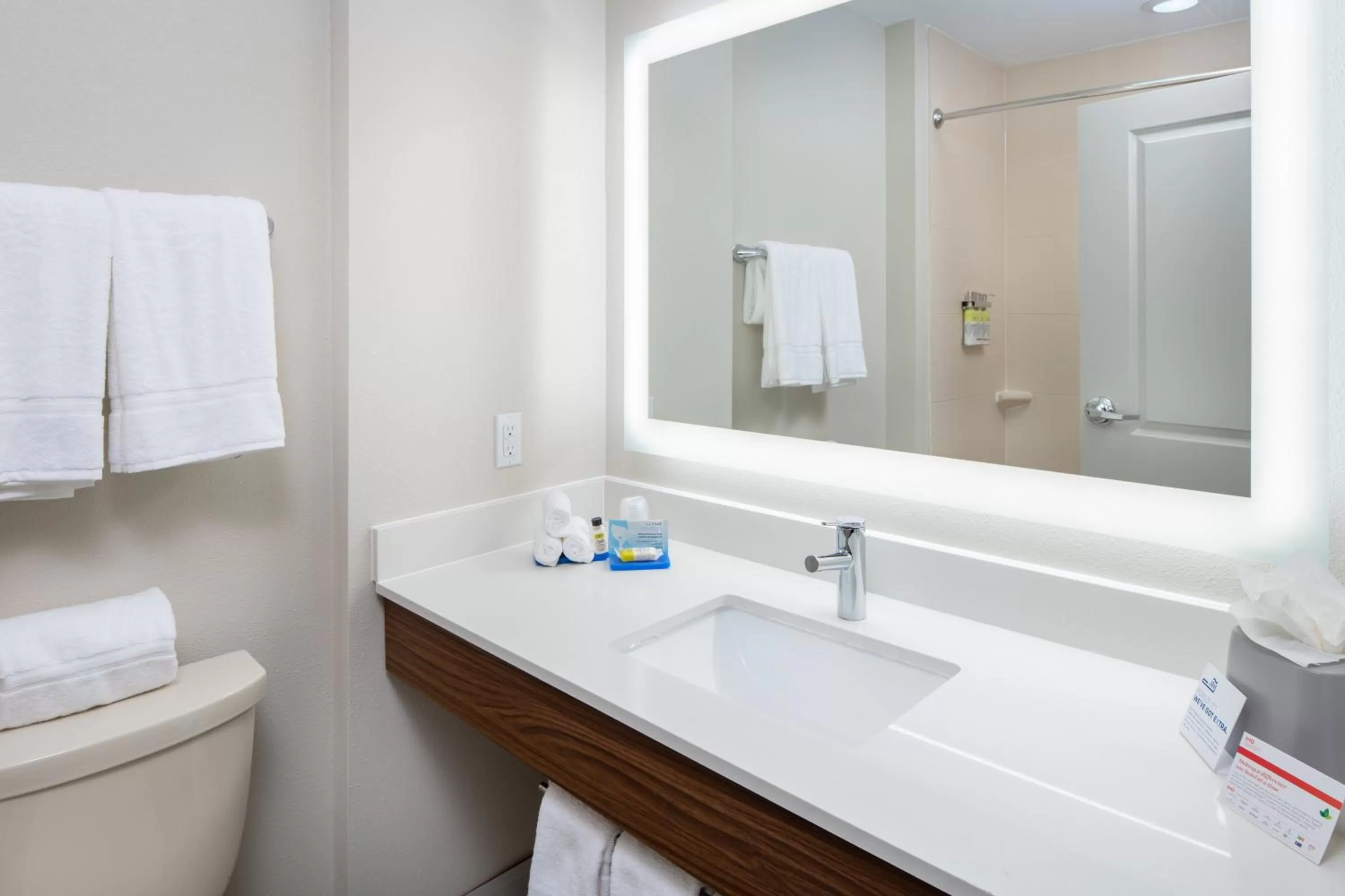 Bathroom in Holiday Inn Express Hotel & Suites Dallas South - DeSoto by IHG
