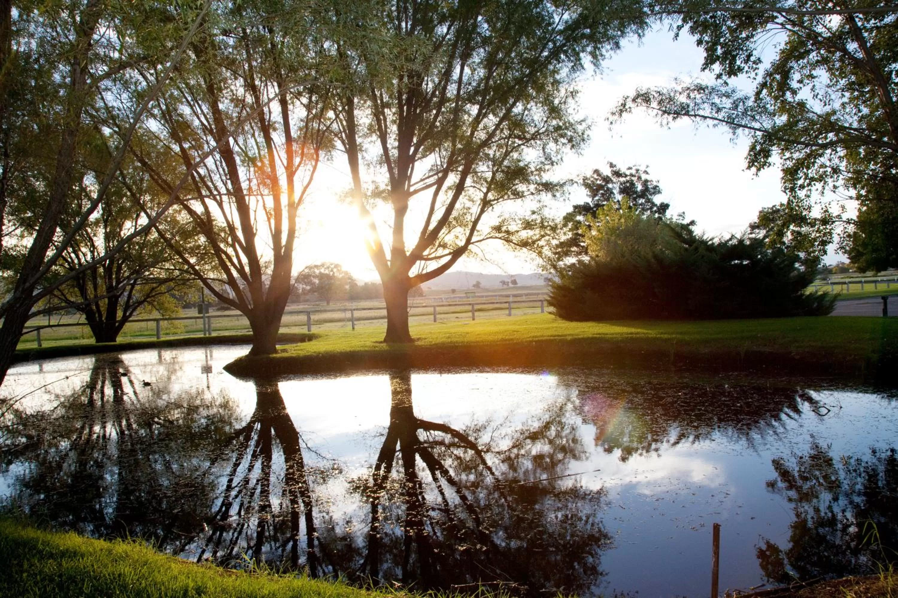 Garden in Parklands Resort Mudgee