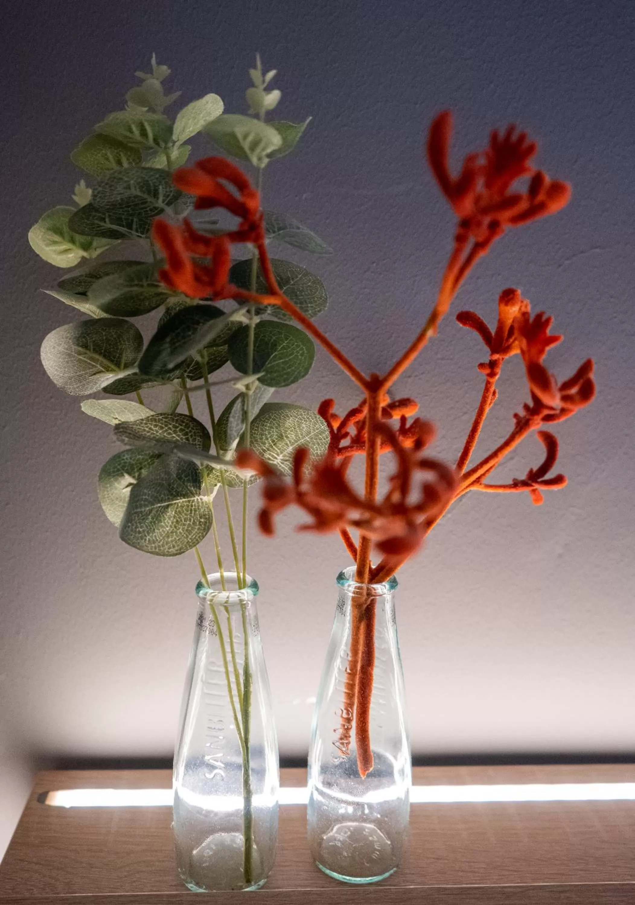 Hotel Haus Hohenstein