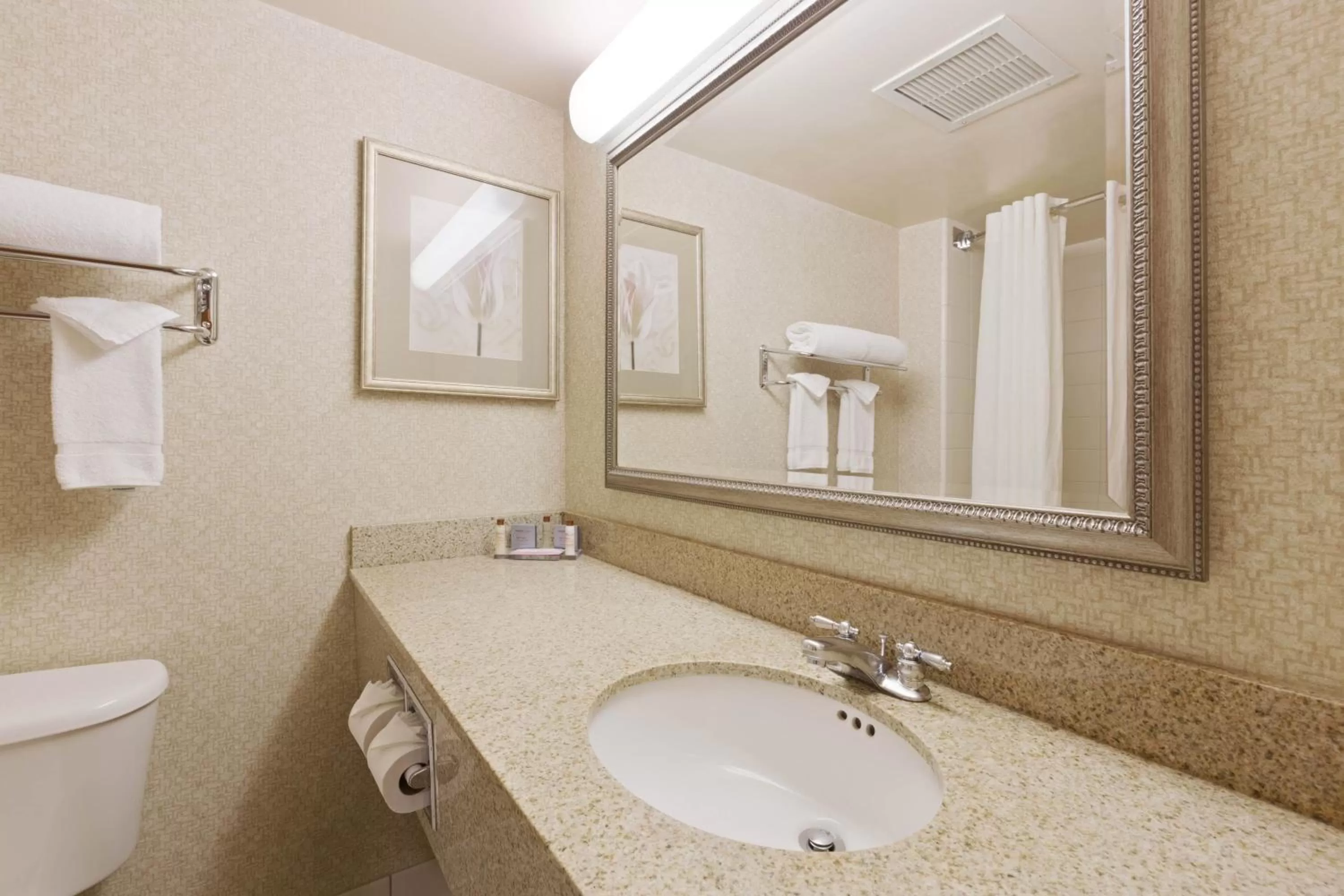 Bathroom in Wingate by Wyndham Charlotte Airport