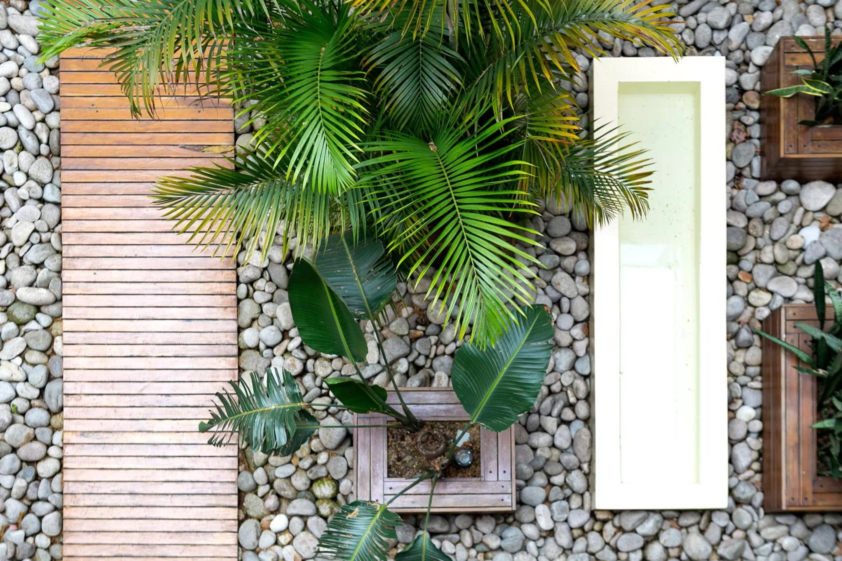 Nuss Buenos Aires Soho