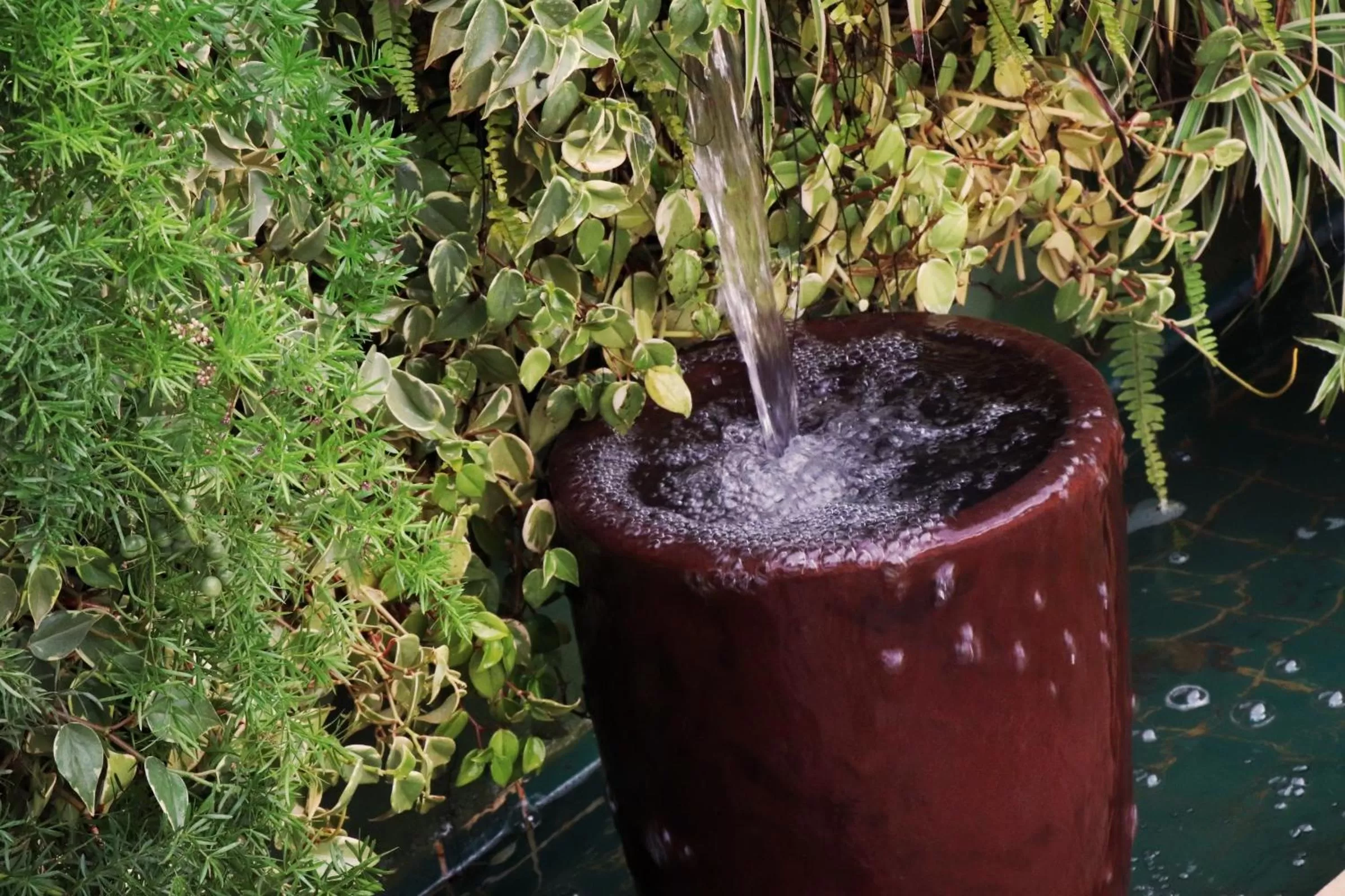 Garden in Pousada Santa Thereza