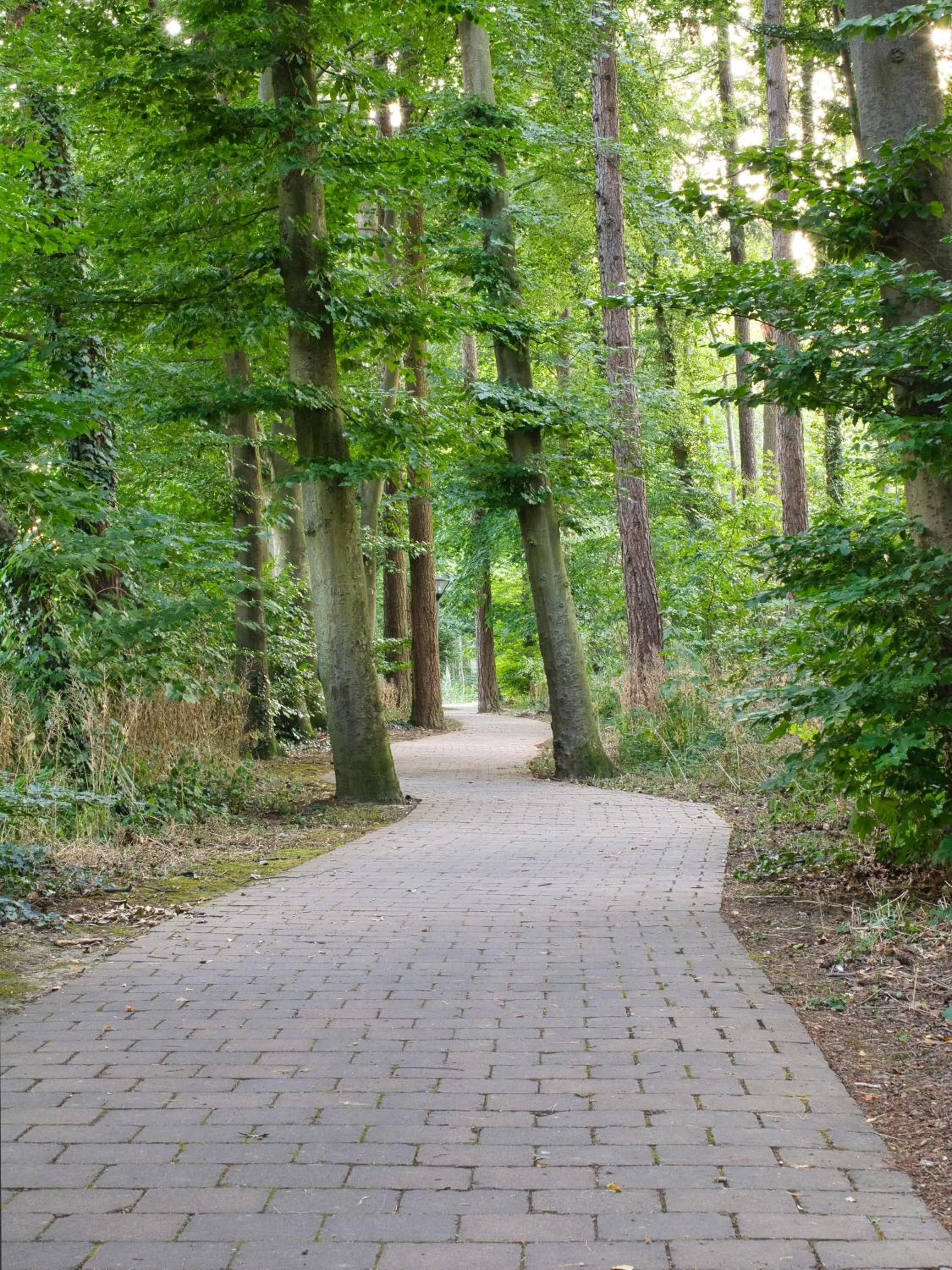 Natural landscape in Hotel Neckarblick