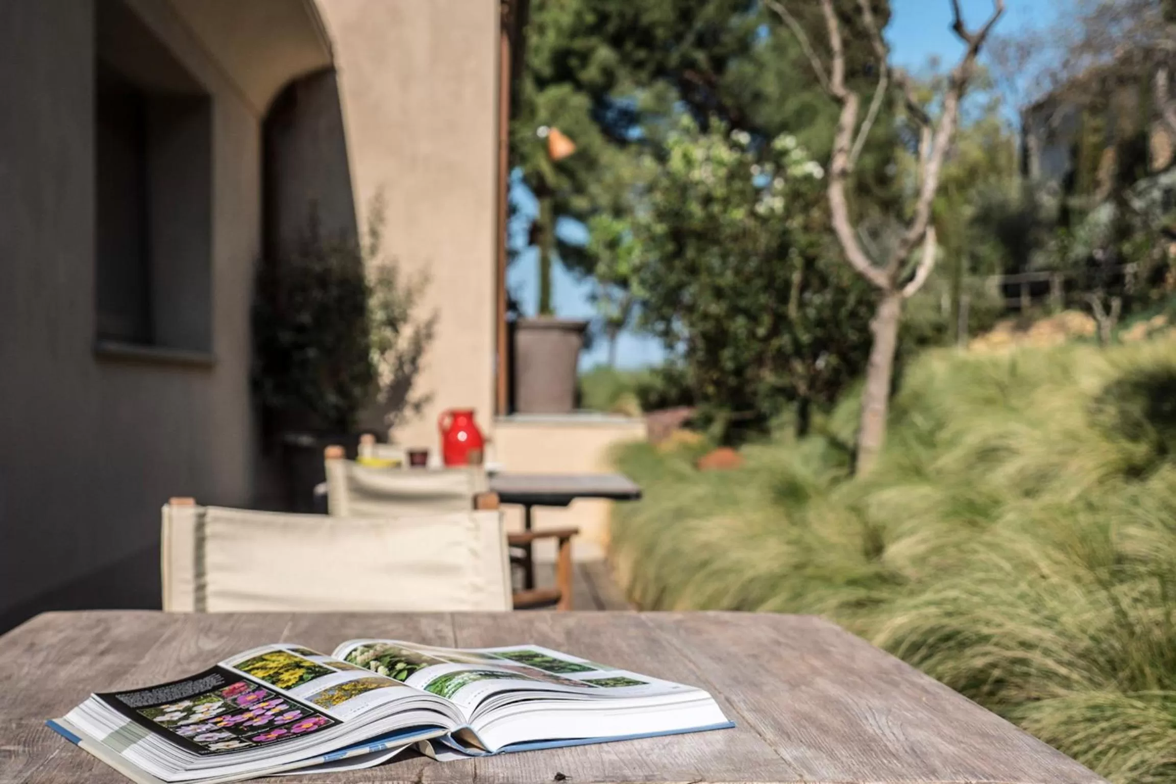 Patio in A440 in Tuscany