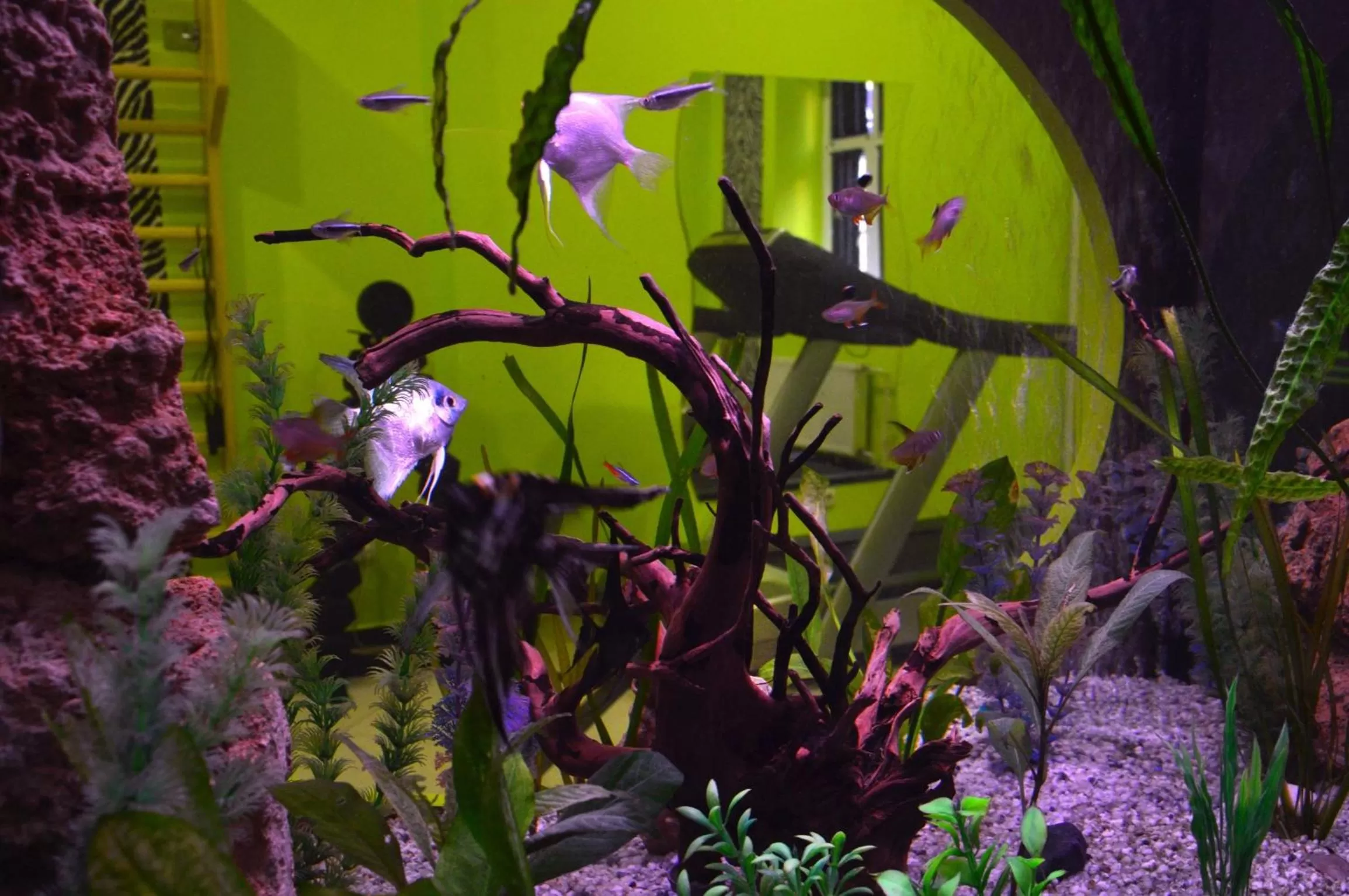 Fitness centre/facilities in Belgrade City Hotel