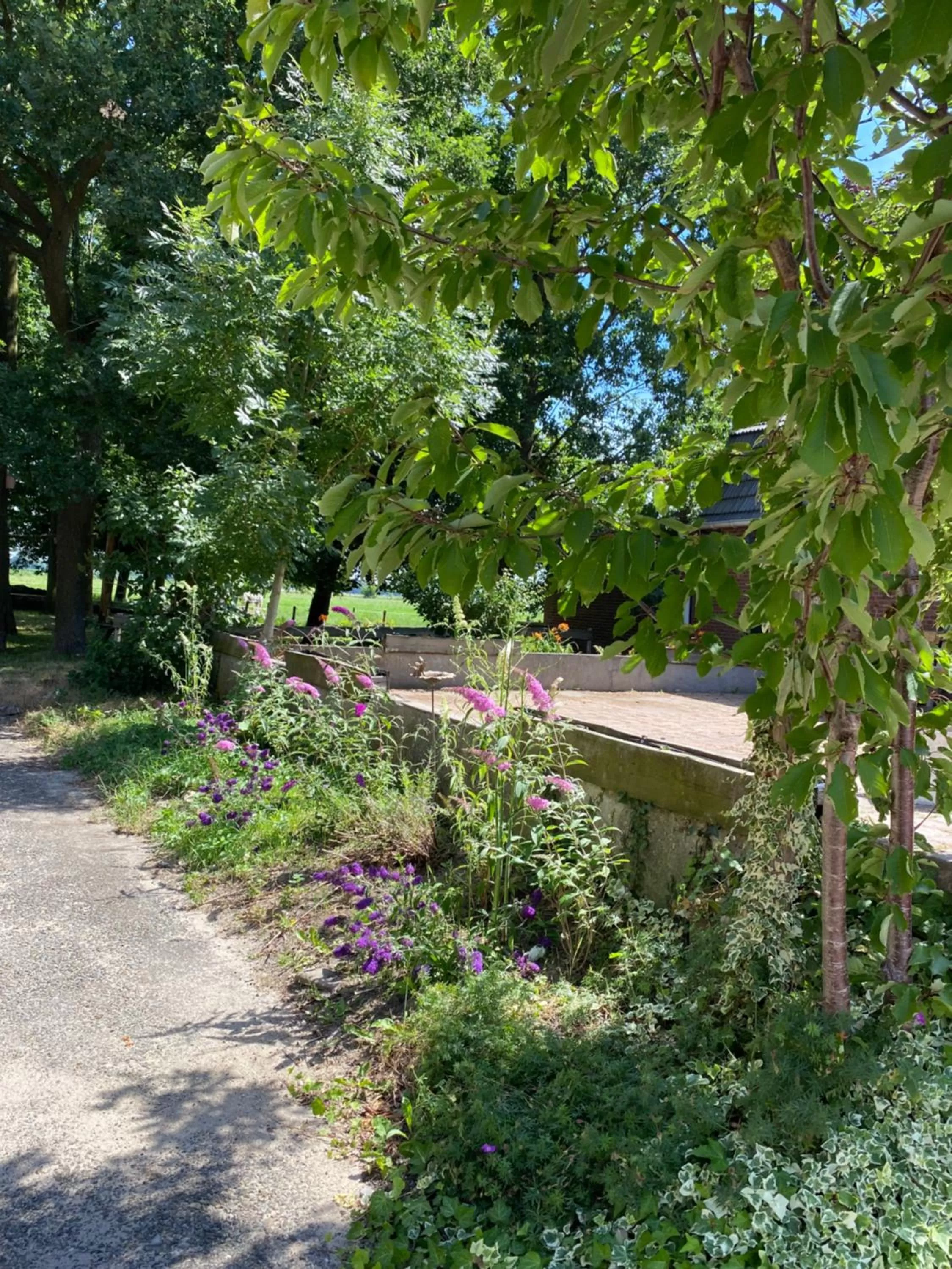 Garden view in De Heeren Hoeve Carpe Diem