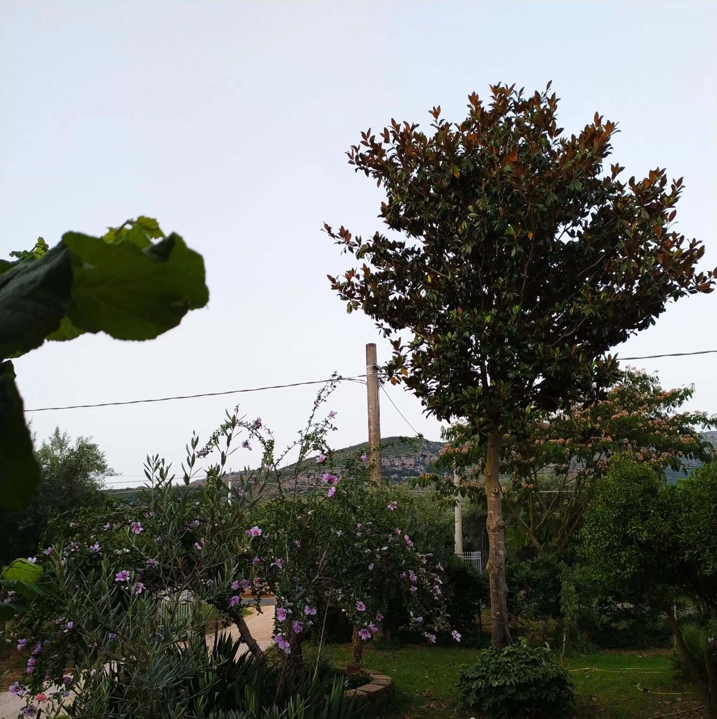 Garden in B&B Villa Sabrina