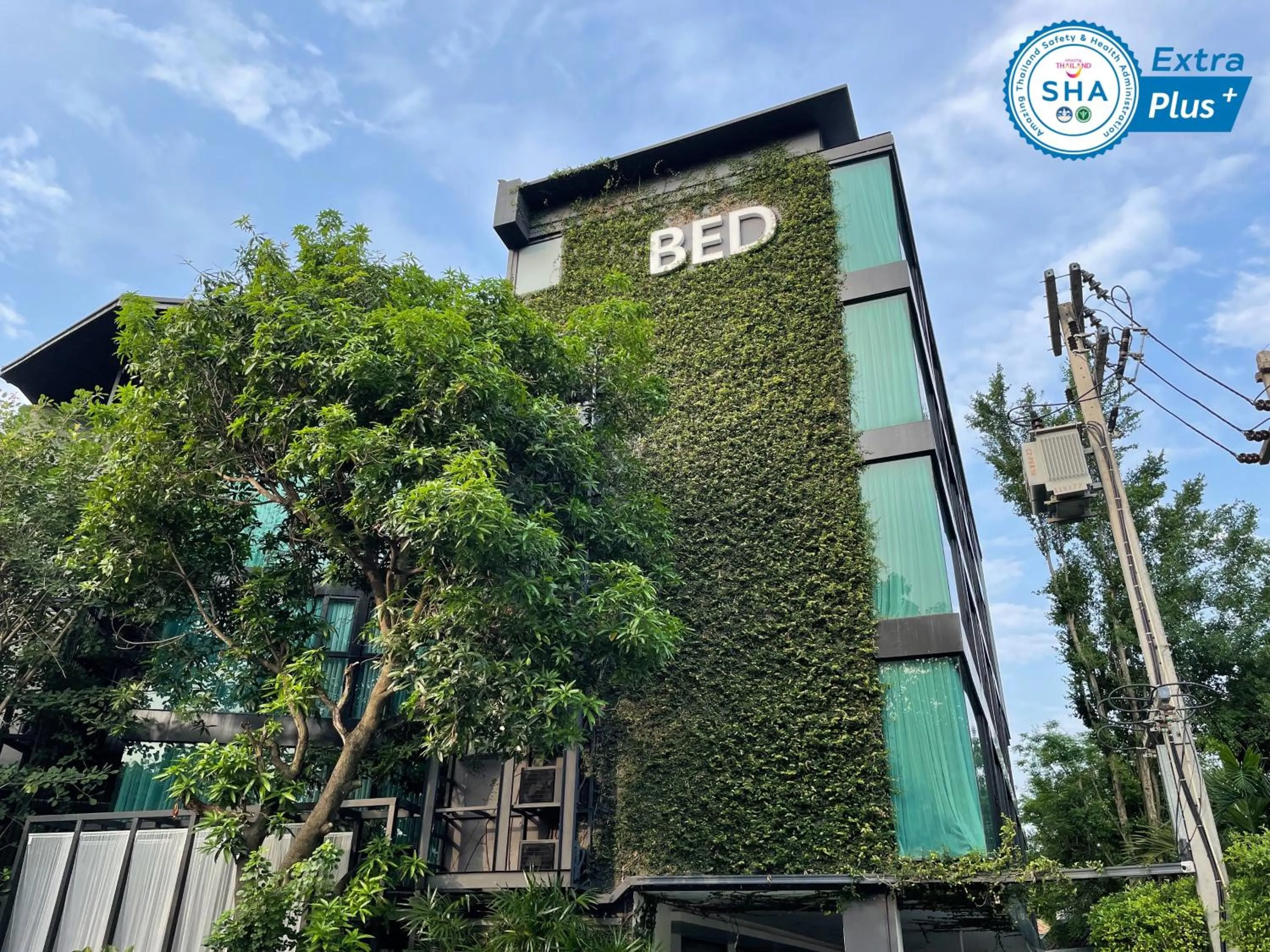 BED Changkian - Adults Only