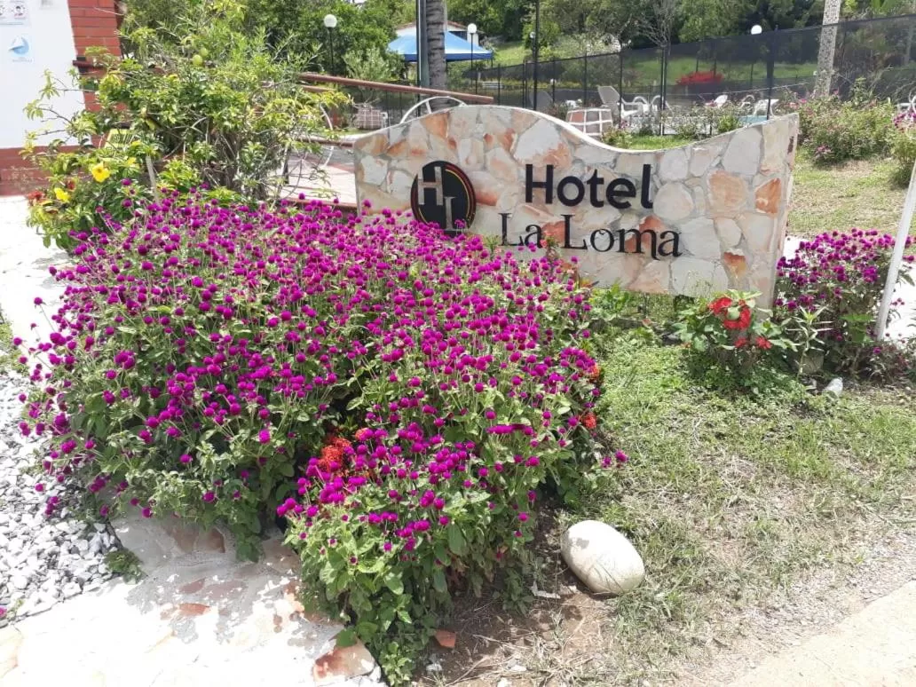 Hotel Campestre la Loma curiti
