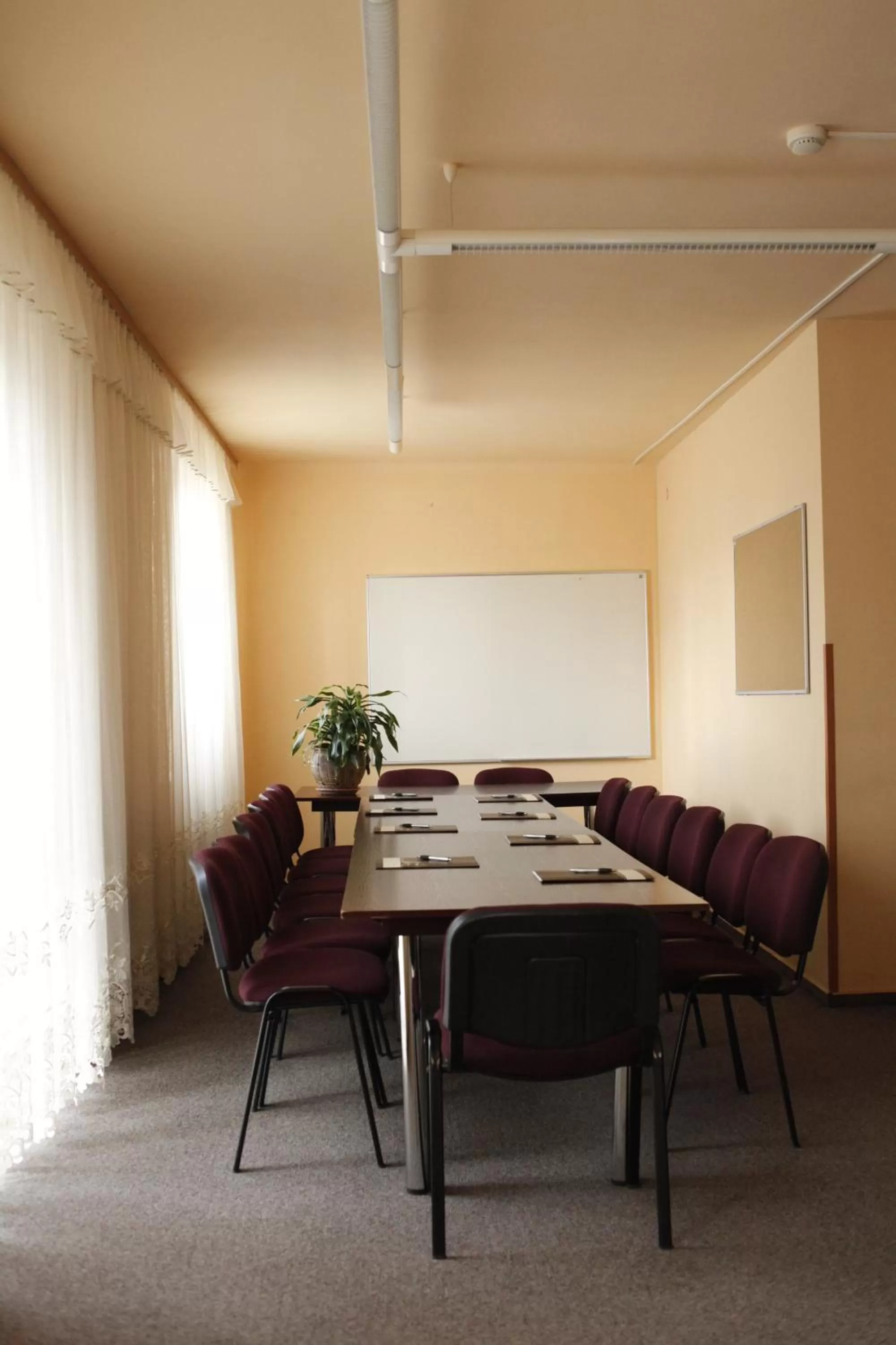 Meeting/conference room in Iskra