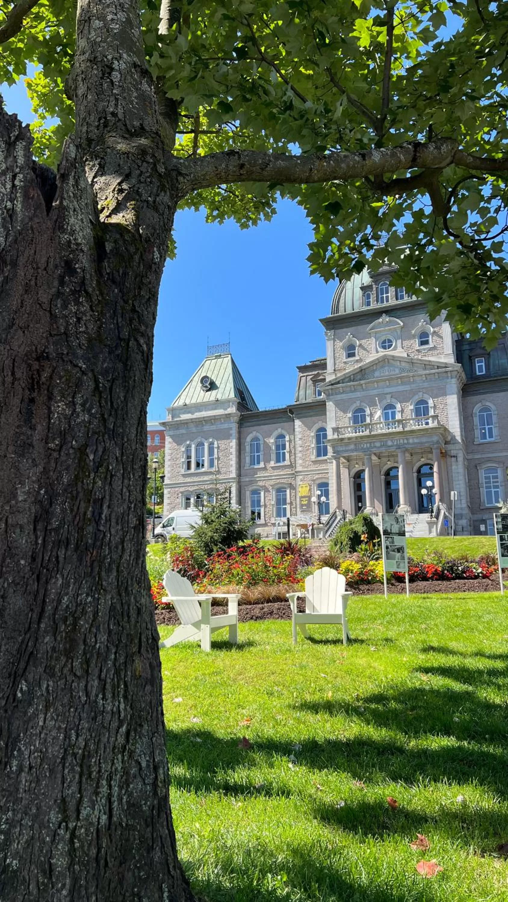 City view in Gîte du Caméléon