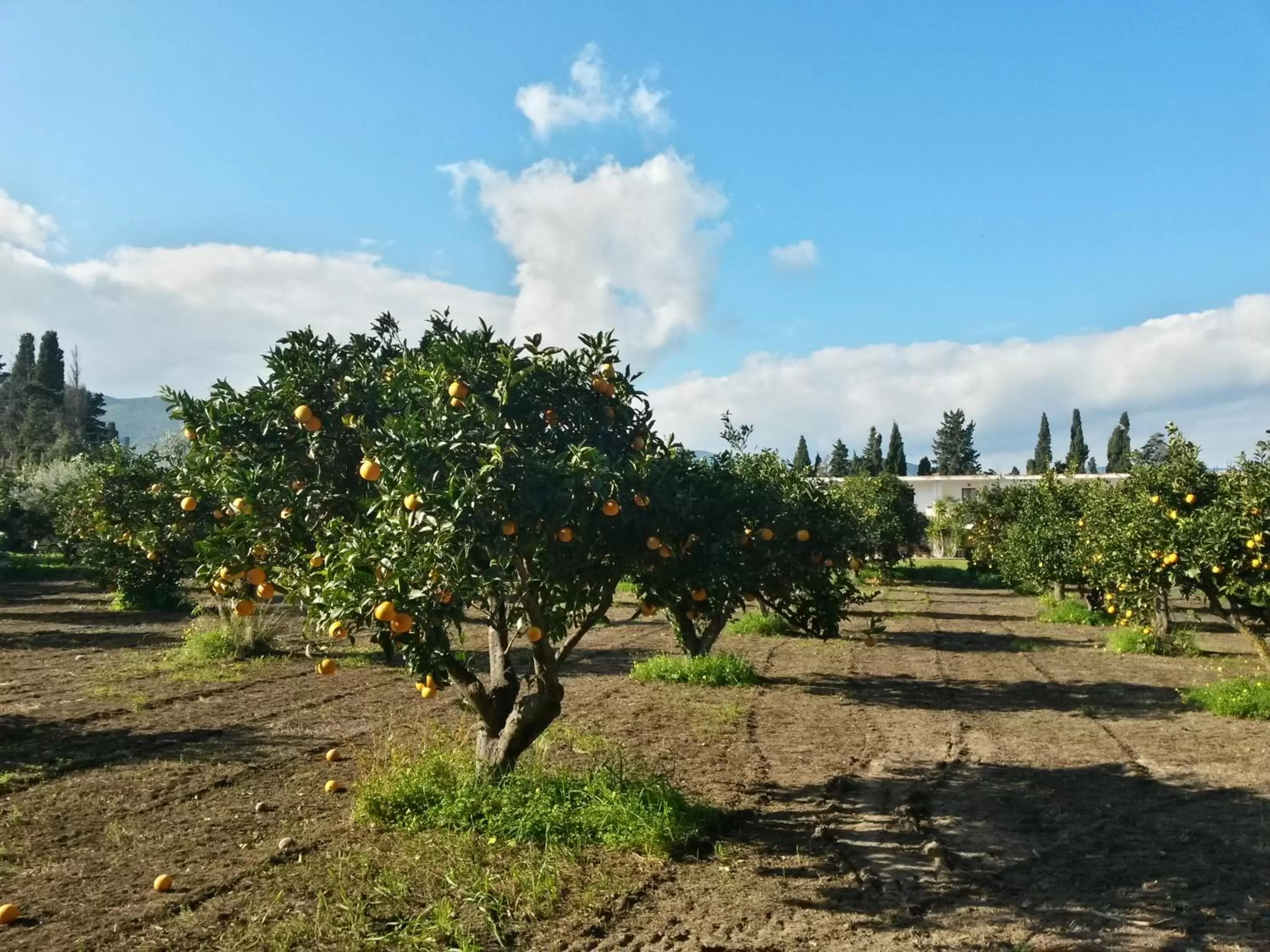 Property building in Hotel Domu Incantada