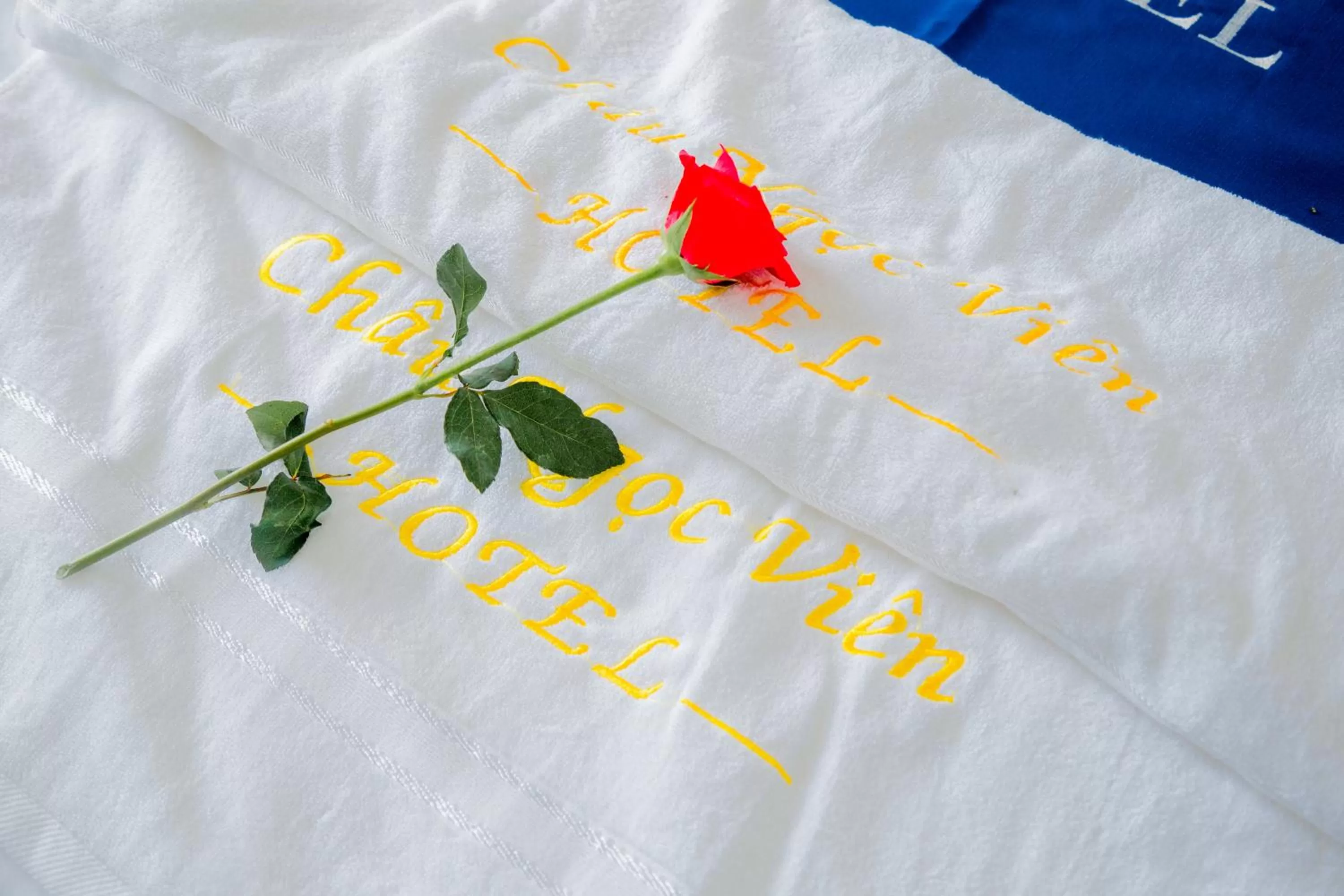 Châu Ngọc Viên Hotel - Biển Mỹ Khê - Quảng Ngãi