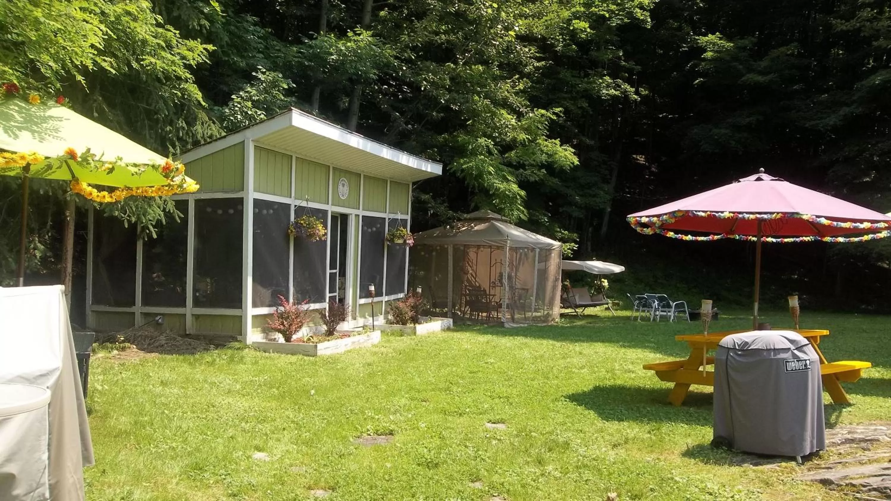 BBQ facilities, Garden in Starlite Motel & Suites