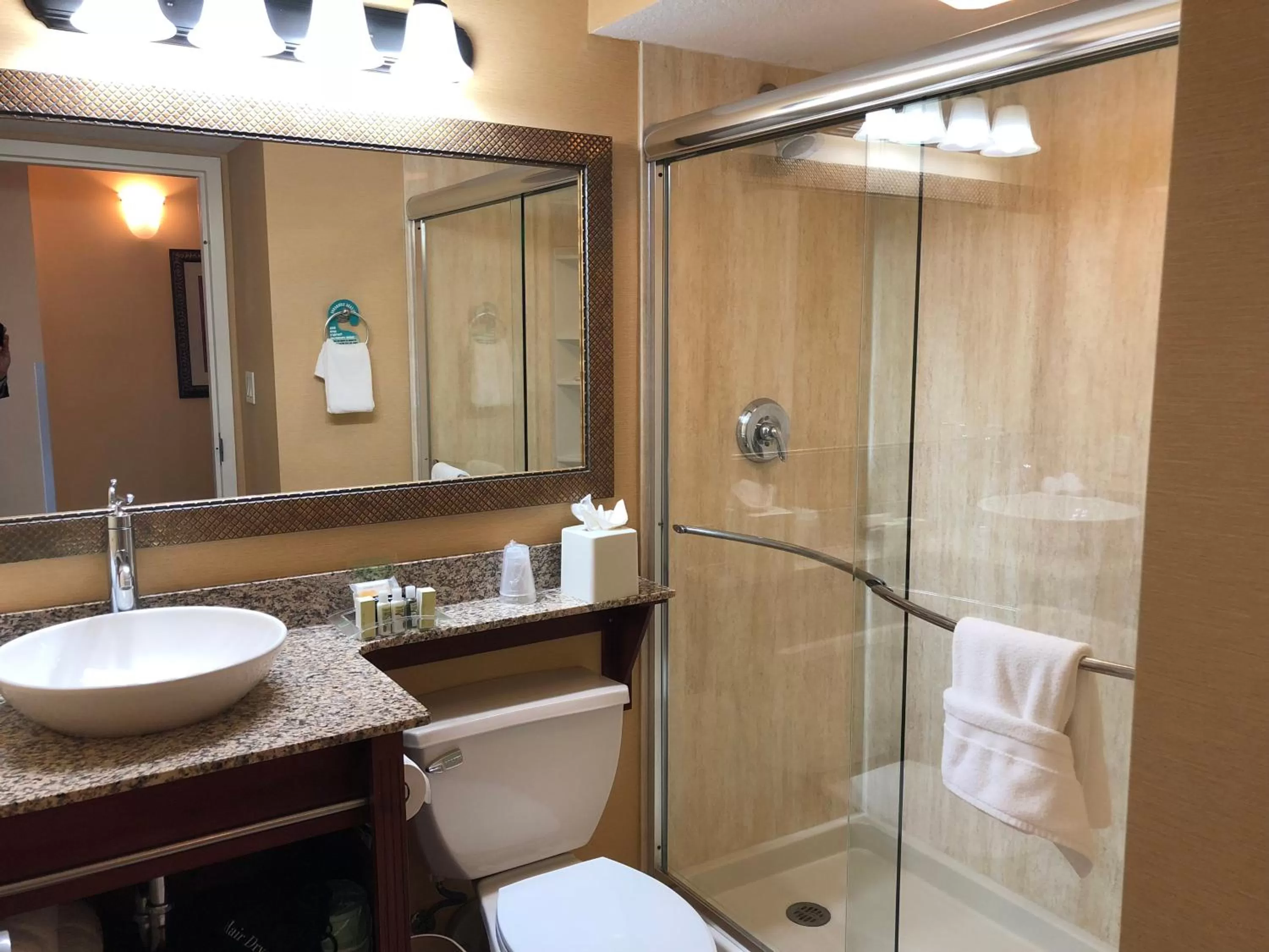 Bathroom in Holiday Inn & Suites Clearwater Beach by IHG