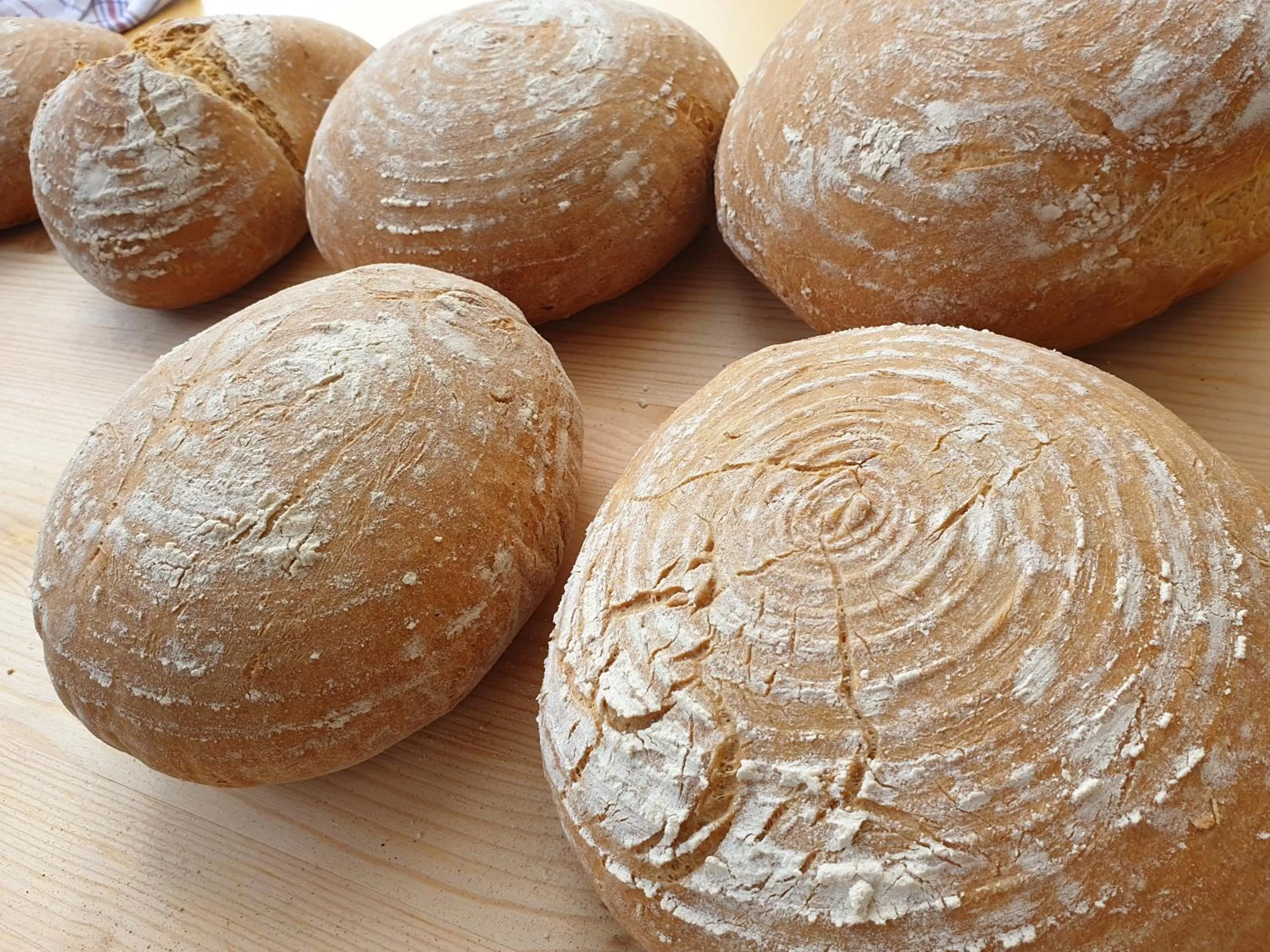 Activities in Silberkönig Schwarzwald Hotel & Restaurant Ringhotel