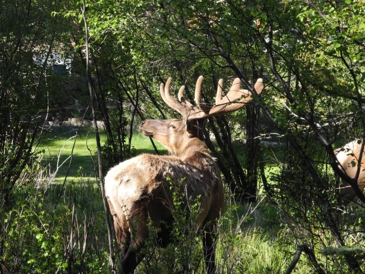 Riversong Inn Retreat