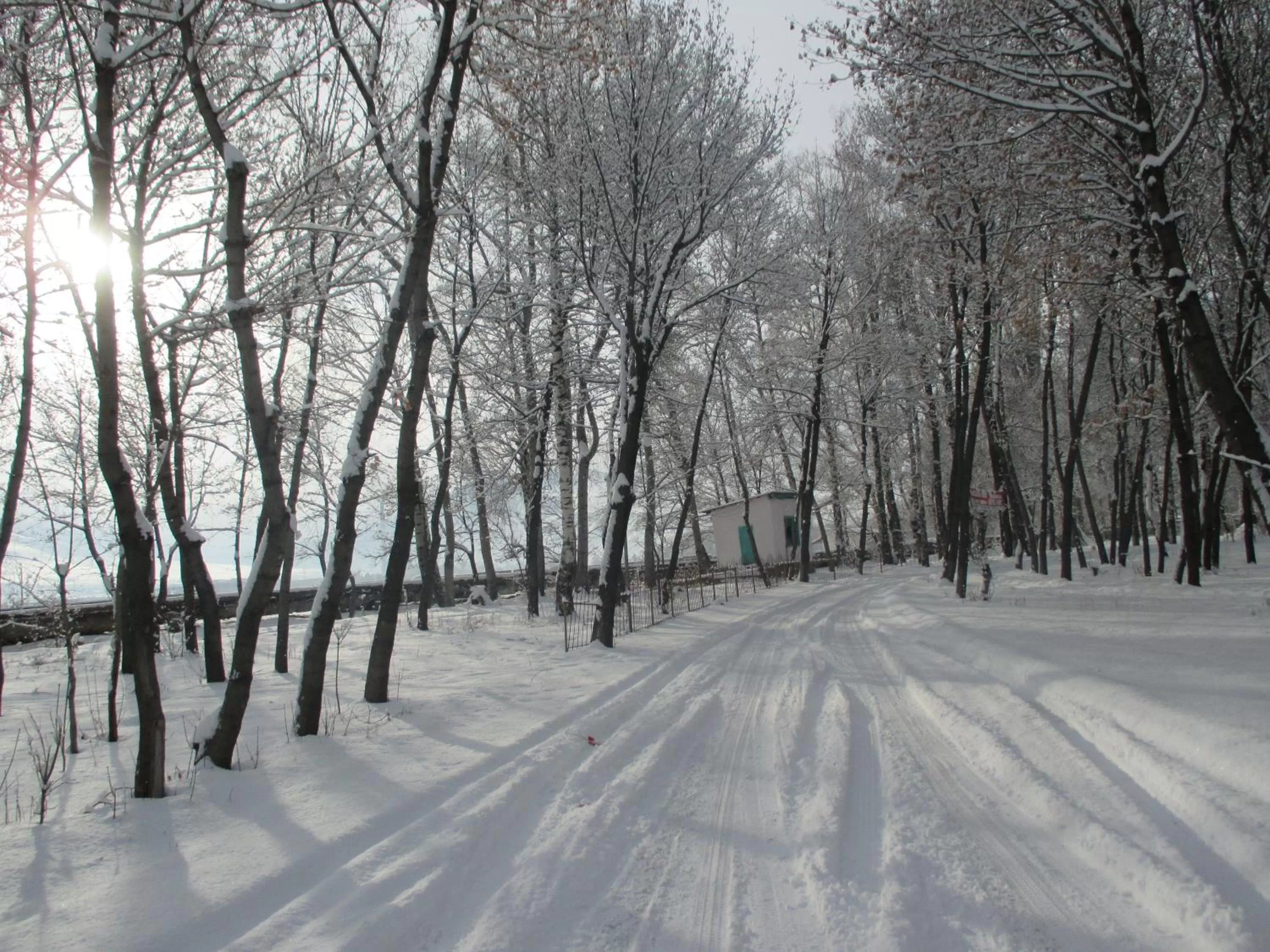 Winter in Otel Issyk-Kul Karakol