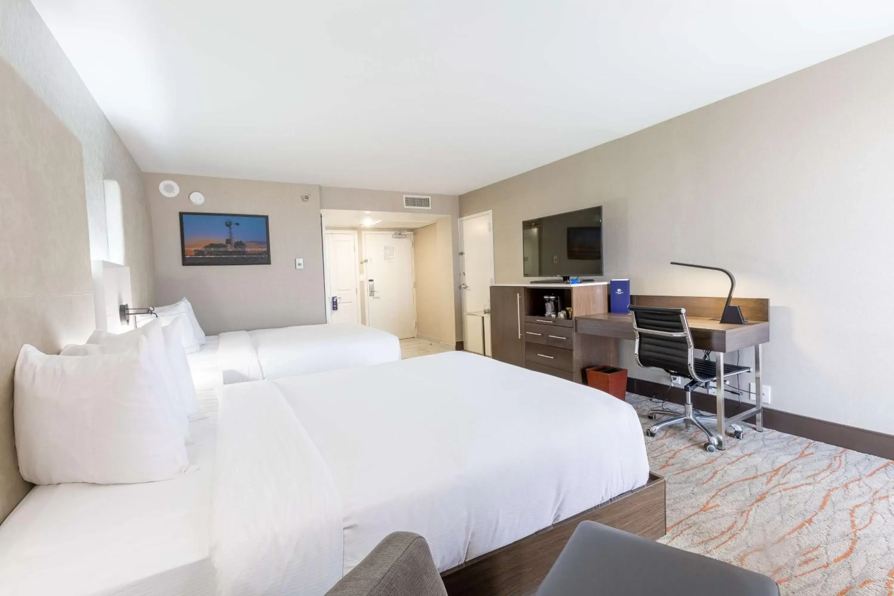 Double Room with Two Double Beds in DoubleTree by Hilton Dallas/Richardson Double Room with Two Double Beds in DoubleTree by Hilton Dallas/Richardson