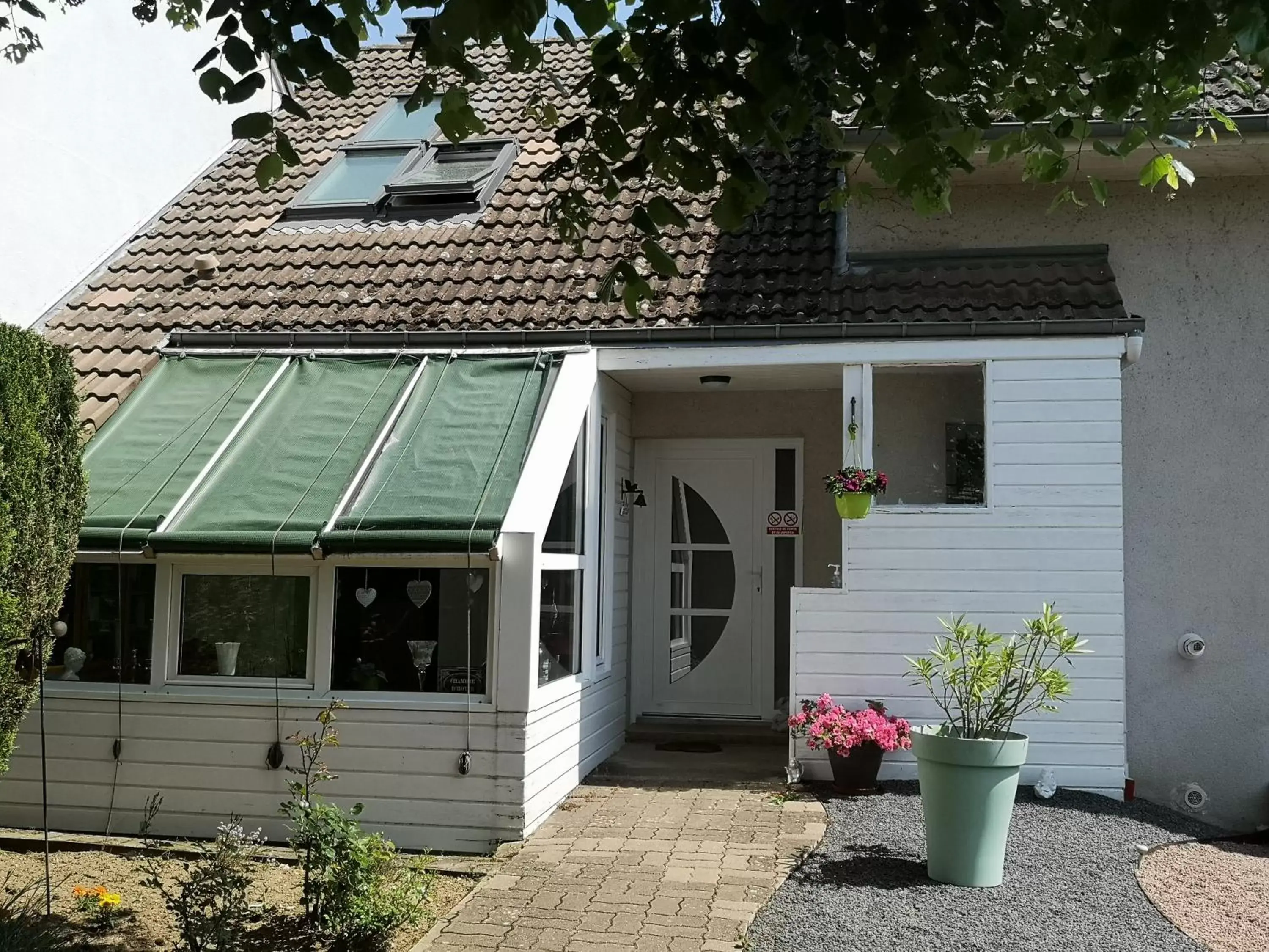 Les Eléphants bleus Les Eléphants bleus