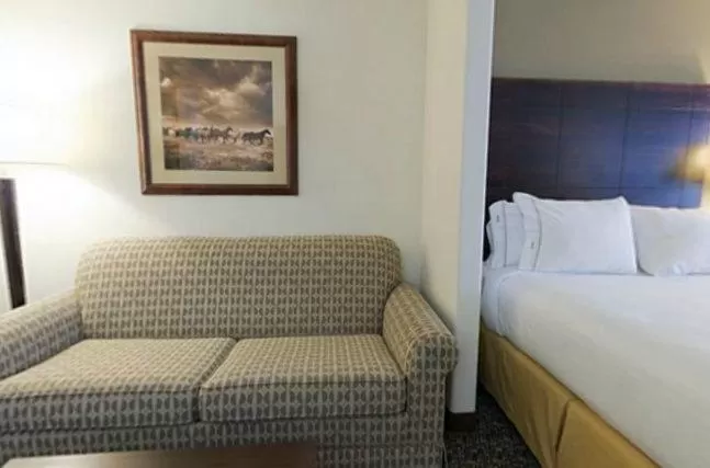 Seating area, Bed in Holiday Inn Express Hotel & Suites Lander by IHG