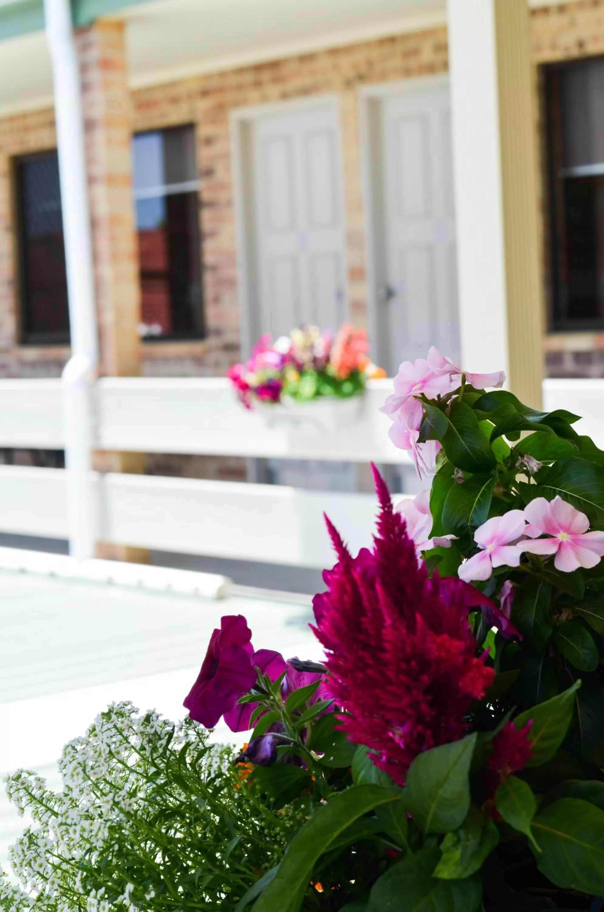 Area and facilities in Golden Beach Motor Inn, Caloundra