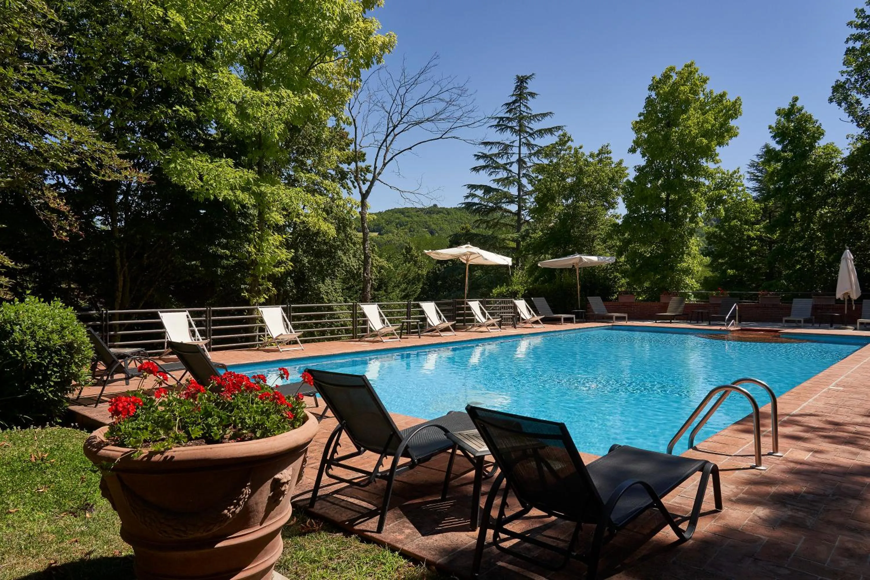 Swimming pool in Park Hotel Chianti