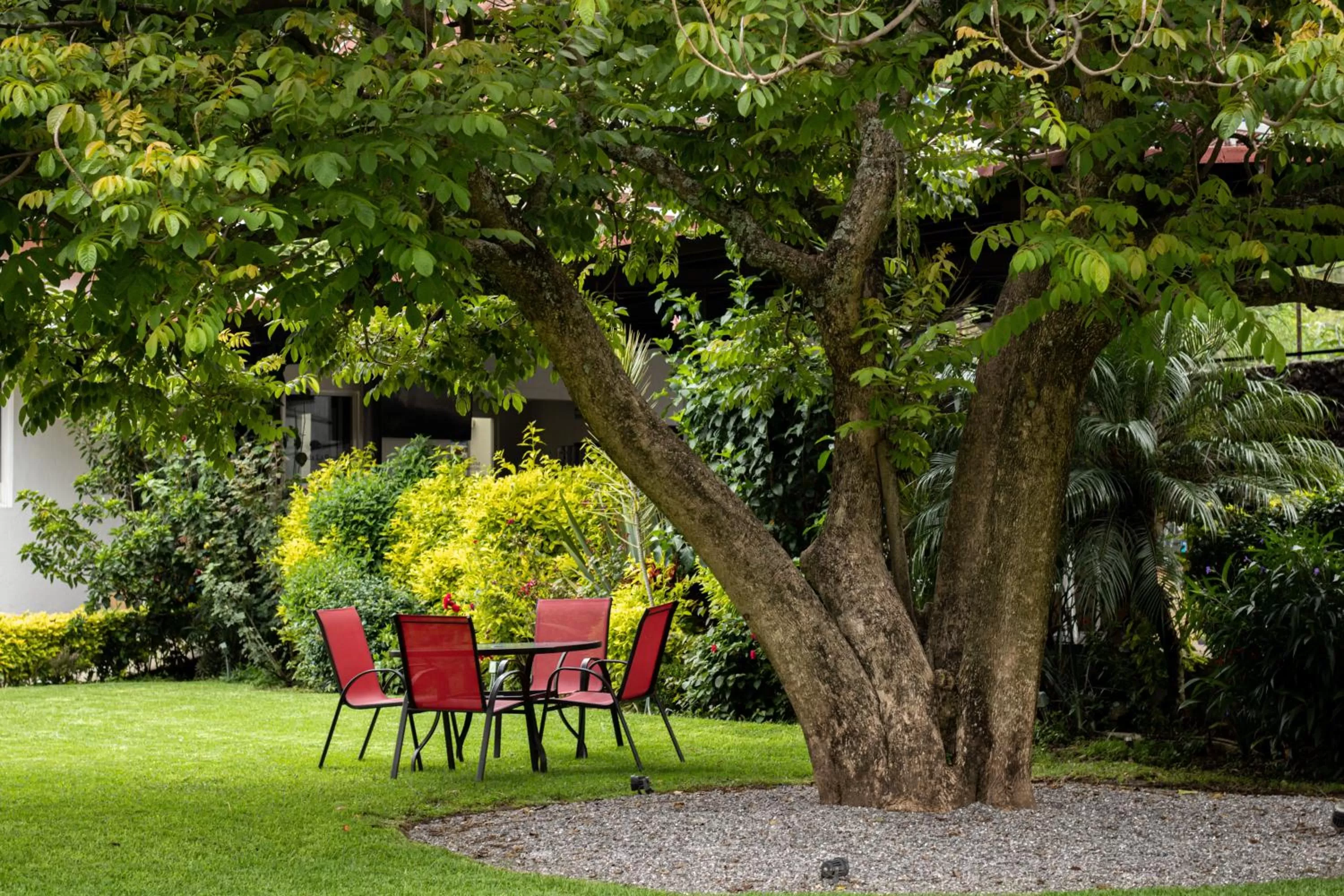 Restaurant/places to eat in Posada La Presa