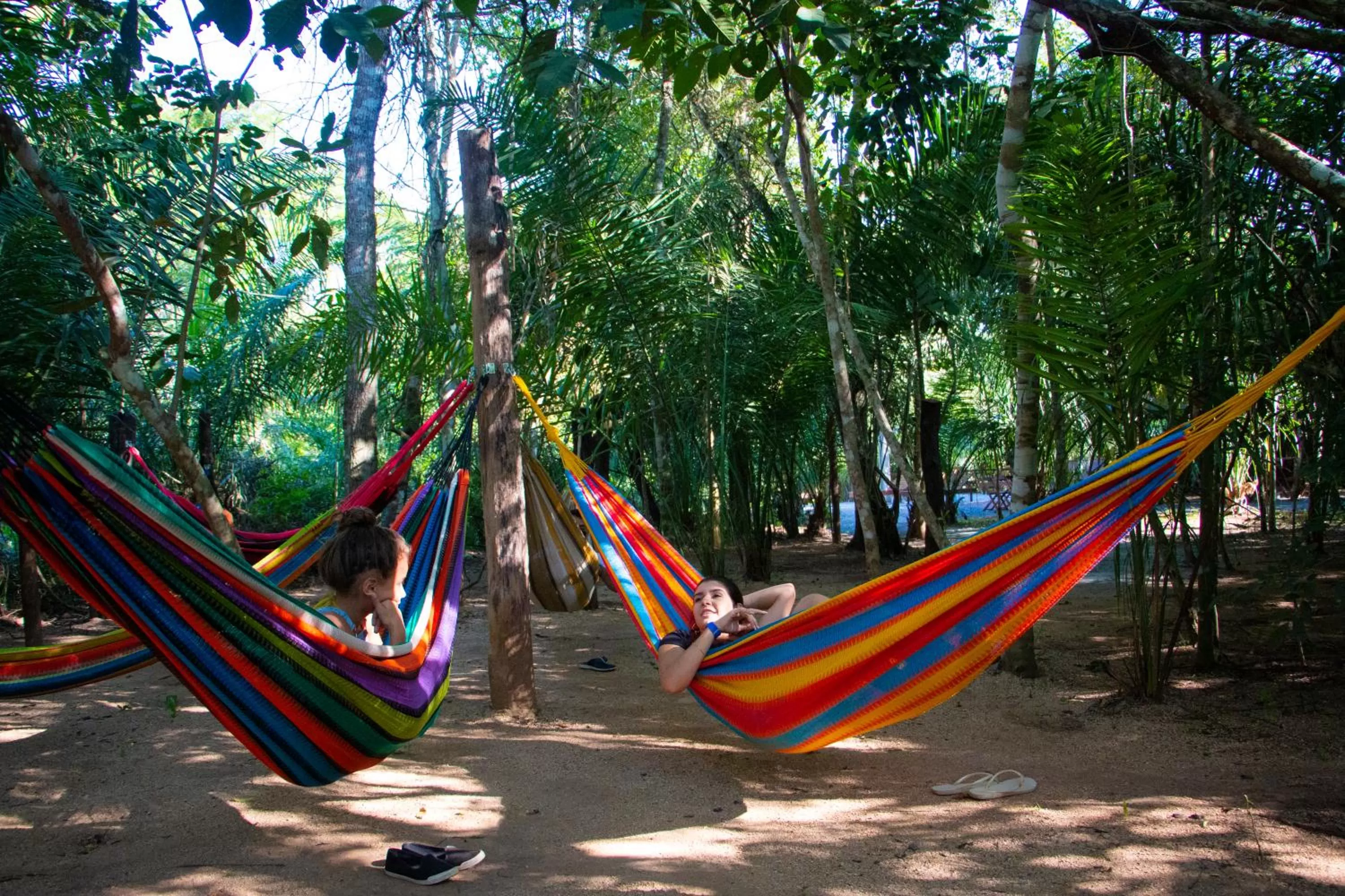 Area and facilities in Hotel Cabanas