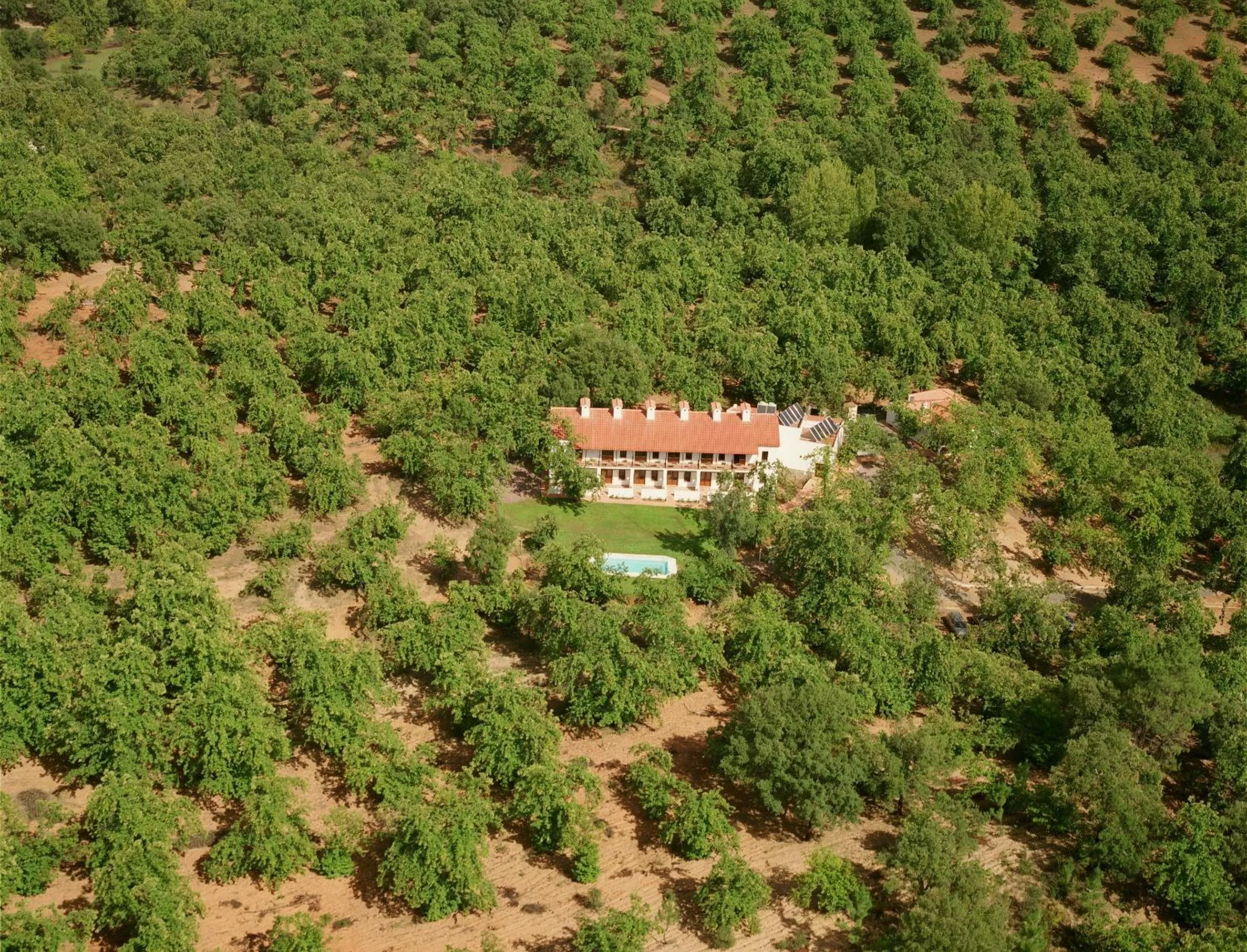 Day in Hotel Apartamento Rural Finca La Media Legua