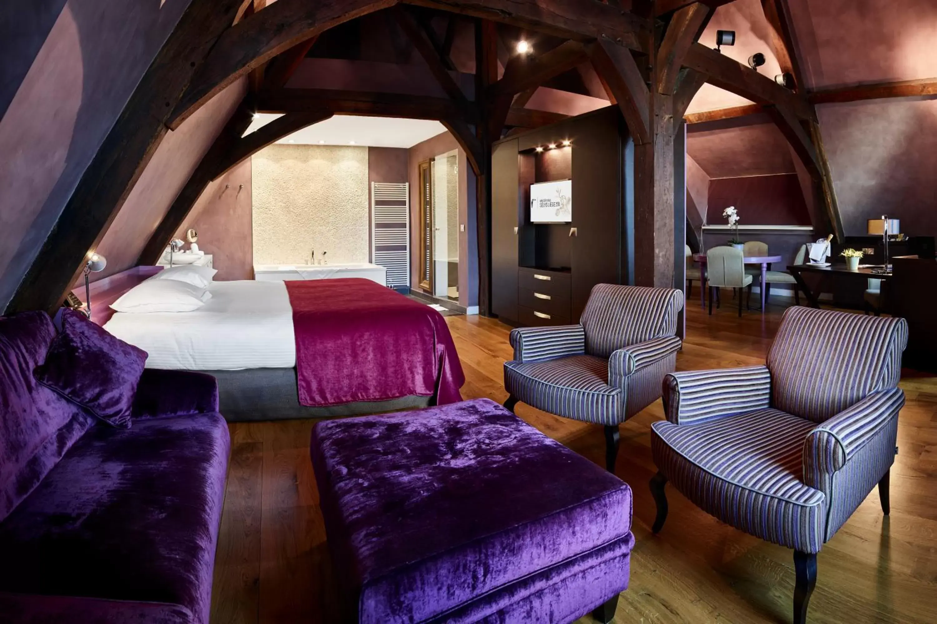 Suite in Van Der Valk Sélys Liège Hotel & Spa Suite in Van Der Valk Sélys Liège Hotel & Spa