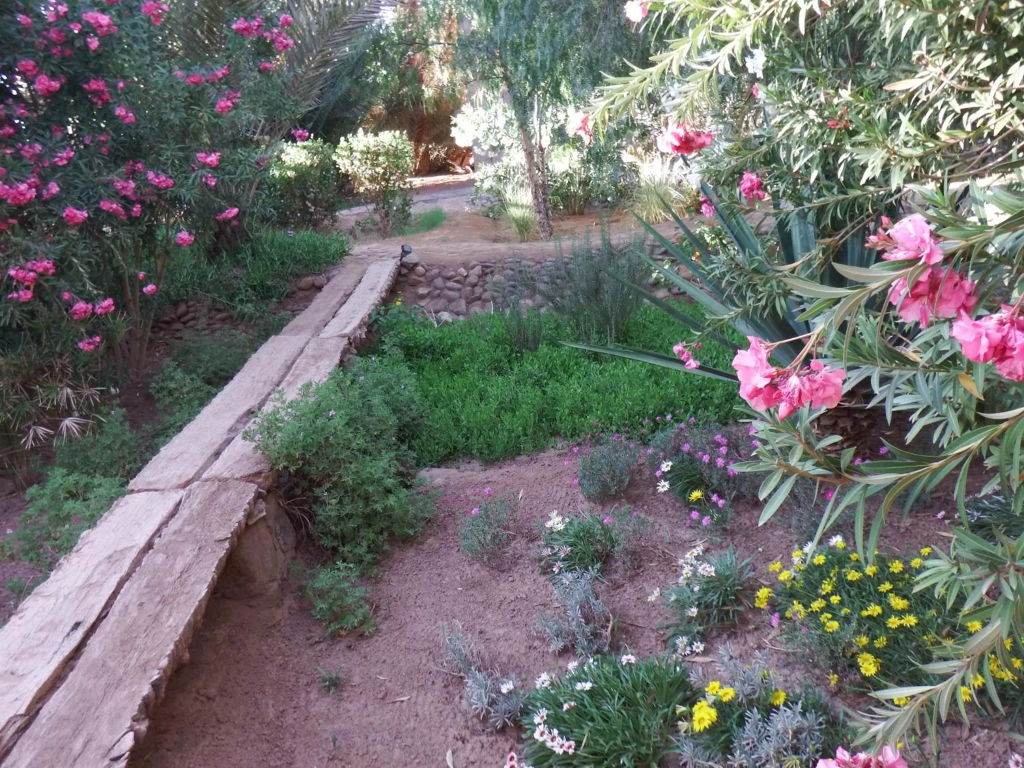 Garden in Dar Paru