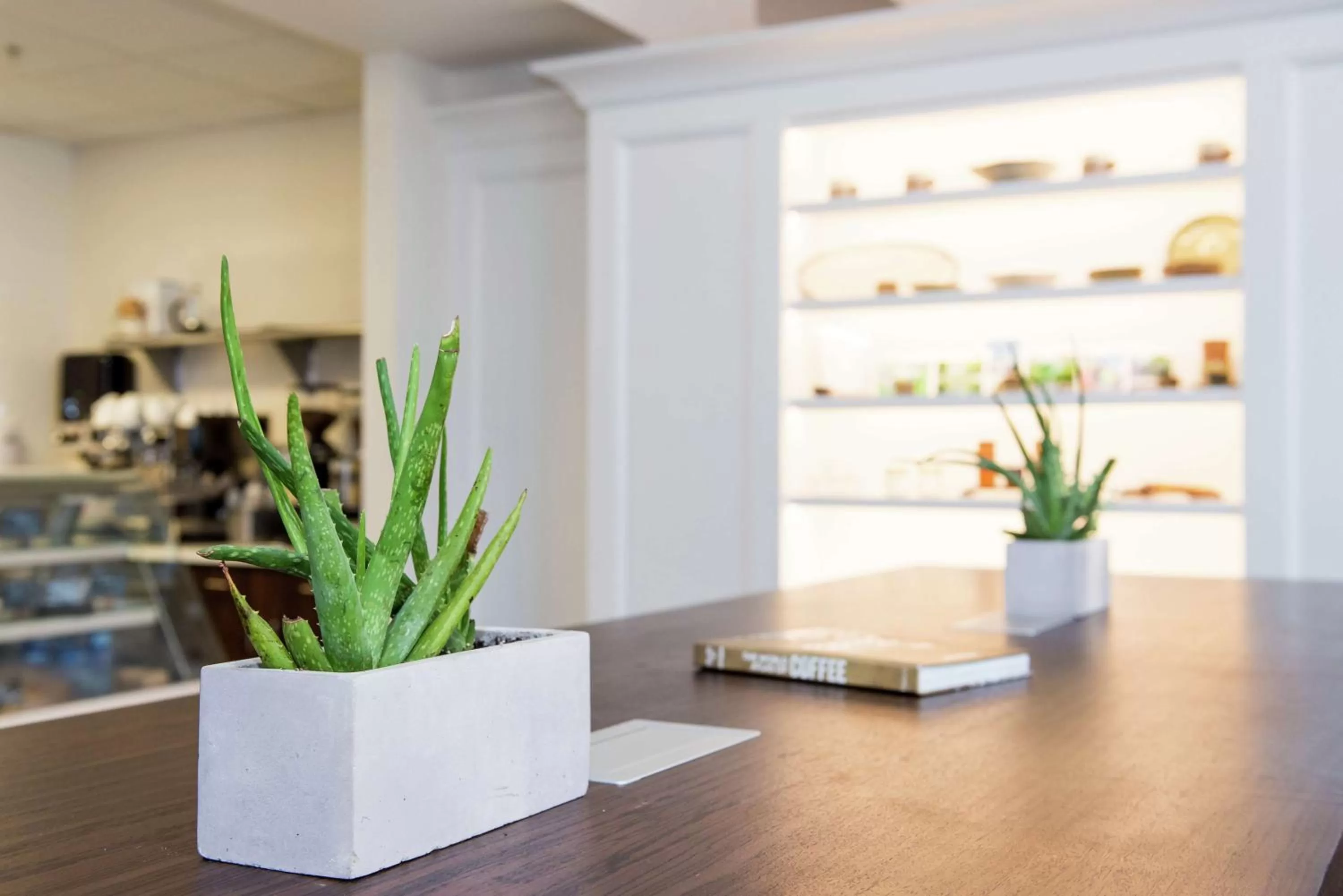 Restaurant/places to eat in Redmont Hotel Birmingham - Curio Collection by Hilton