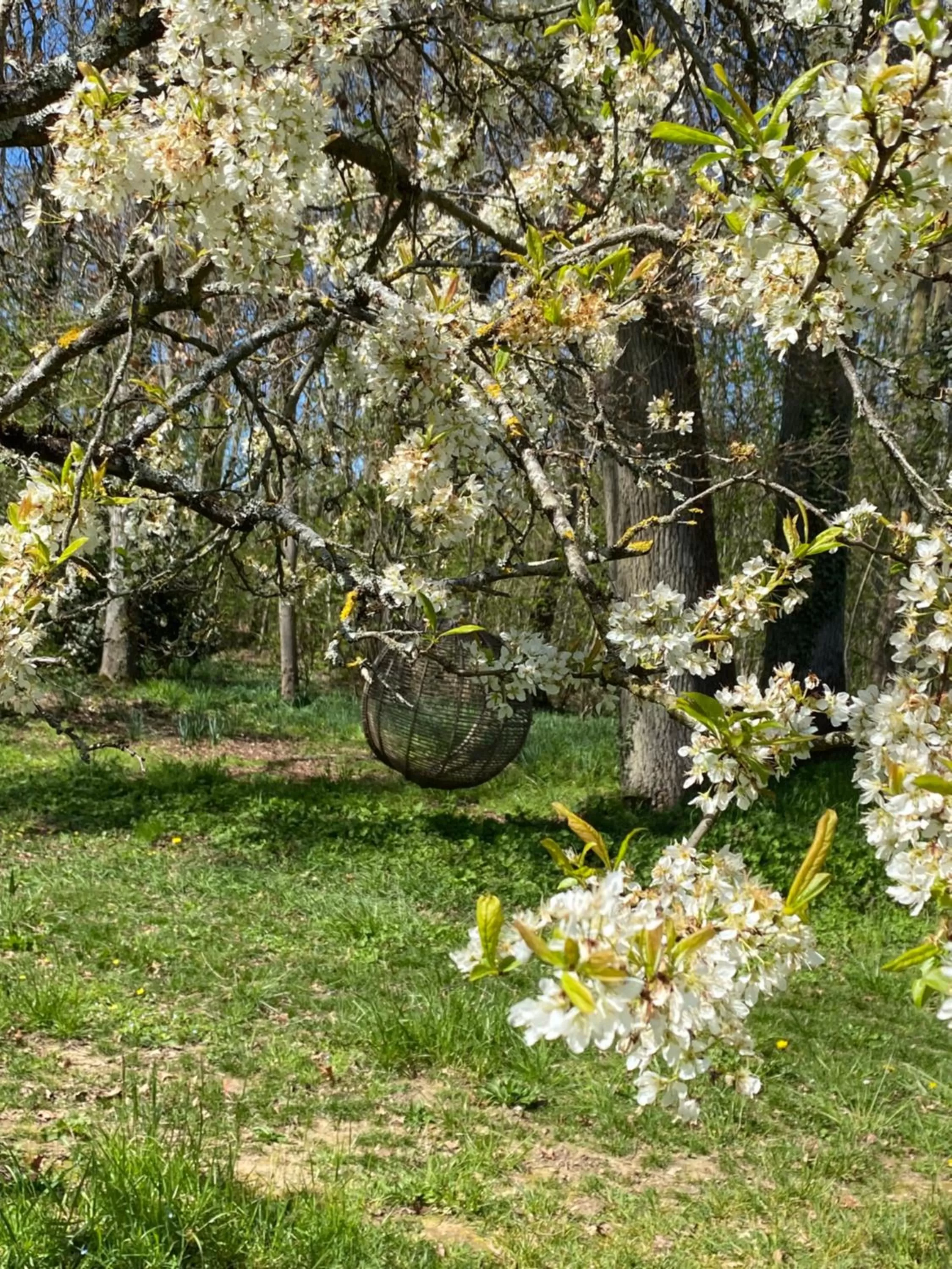Garden in Domaine de La Soudelle