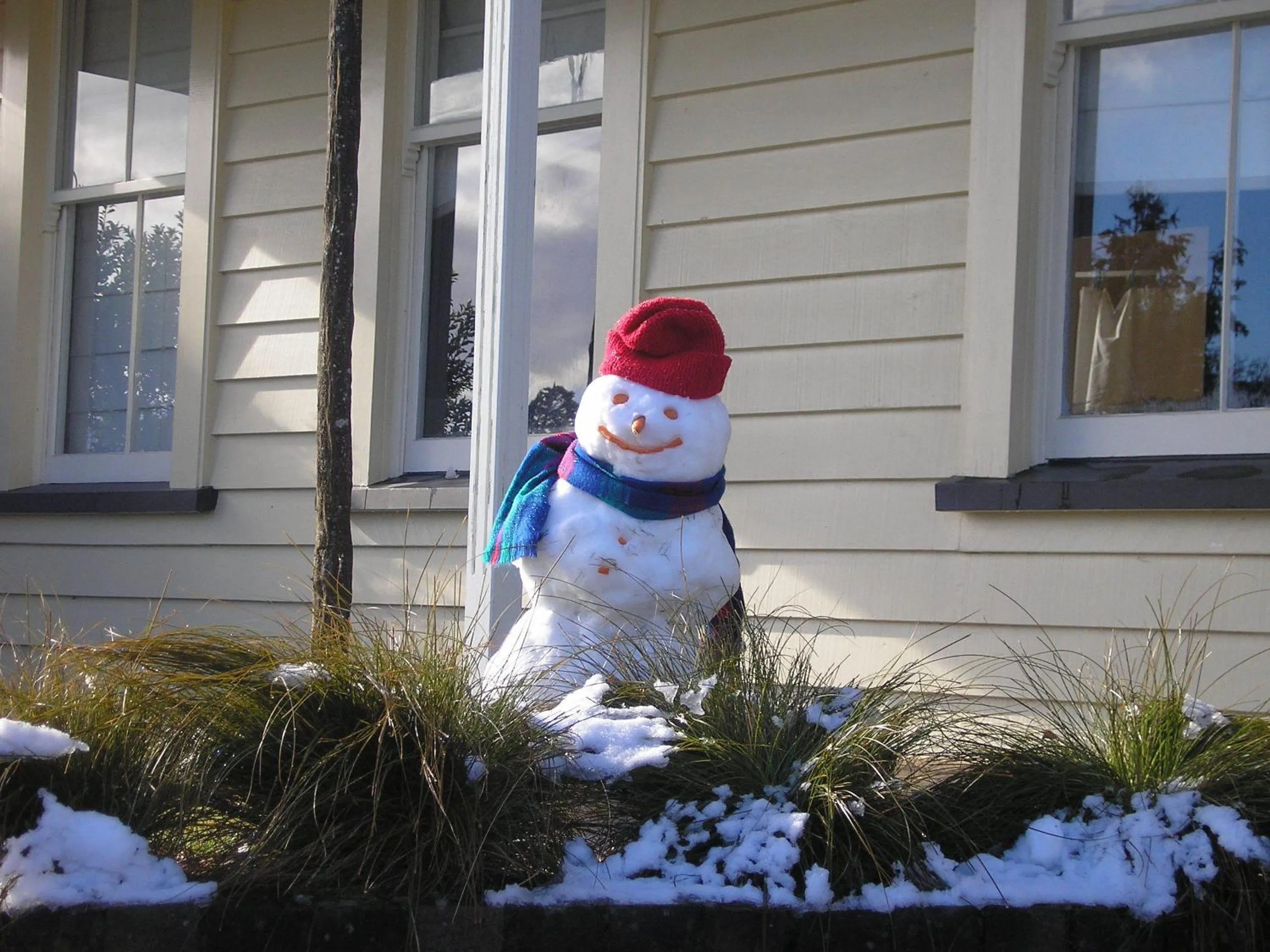 Entertainment in Abisko Lodge