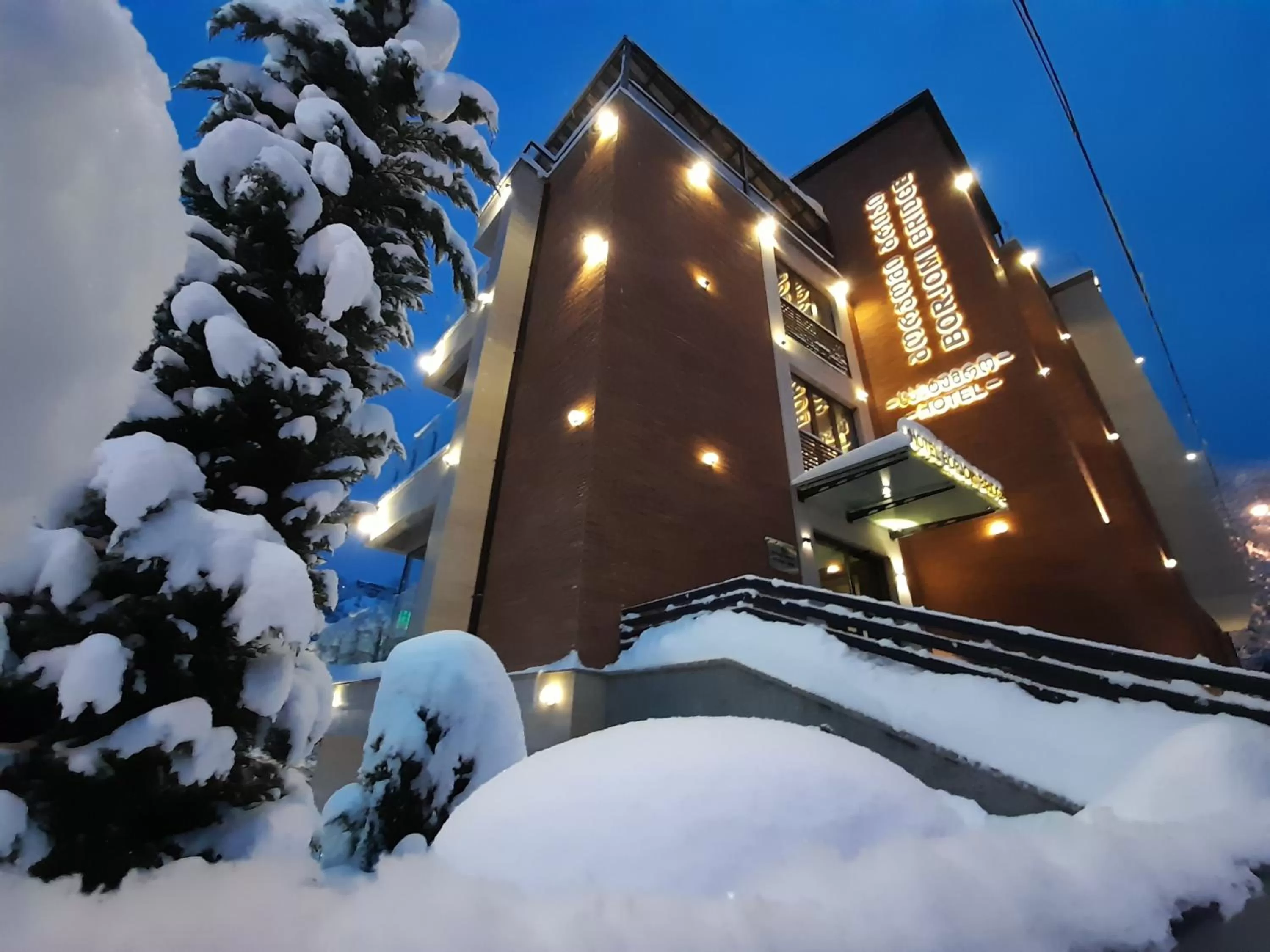 Property building, Winter in Borjomi Bridge Hotel
