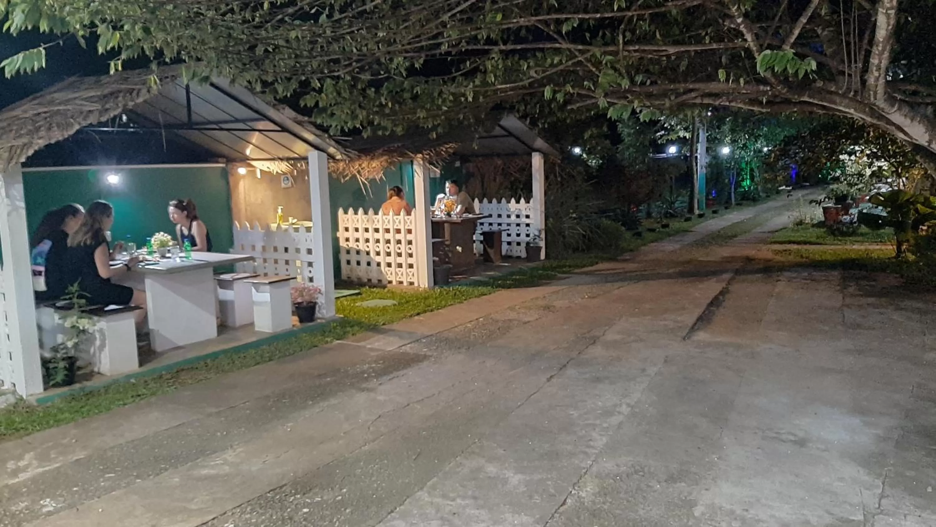 Night in New Peacock Resort