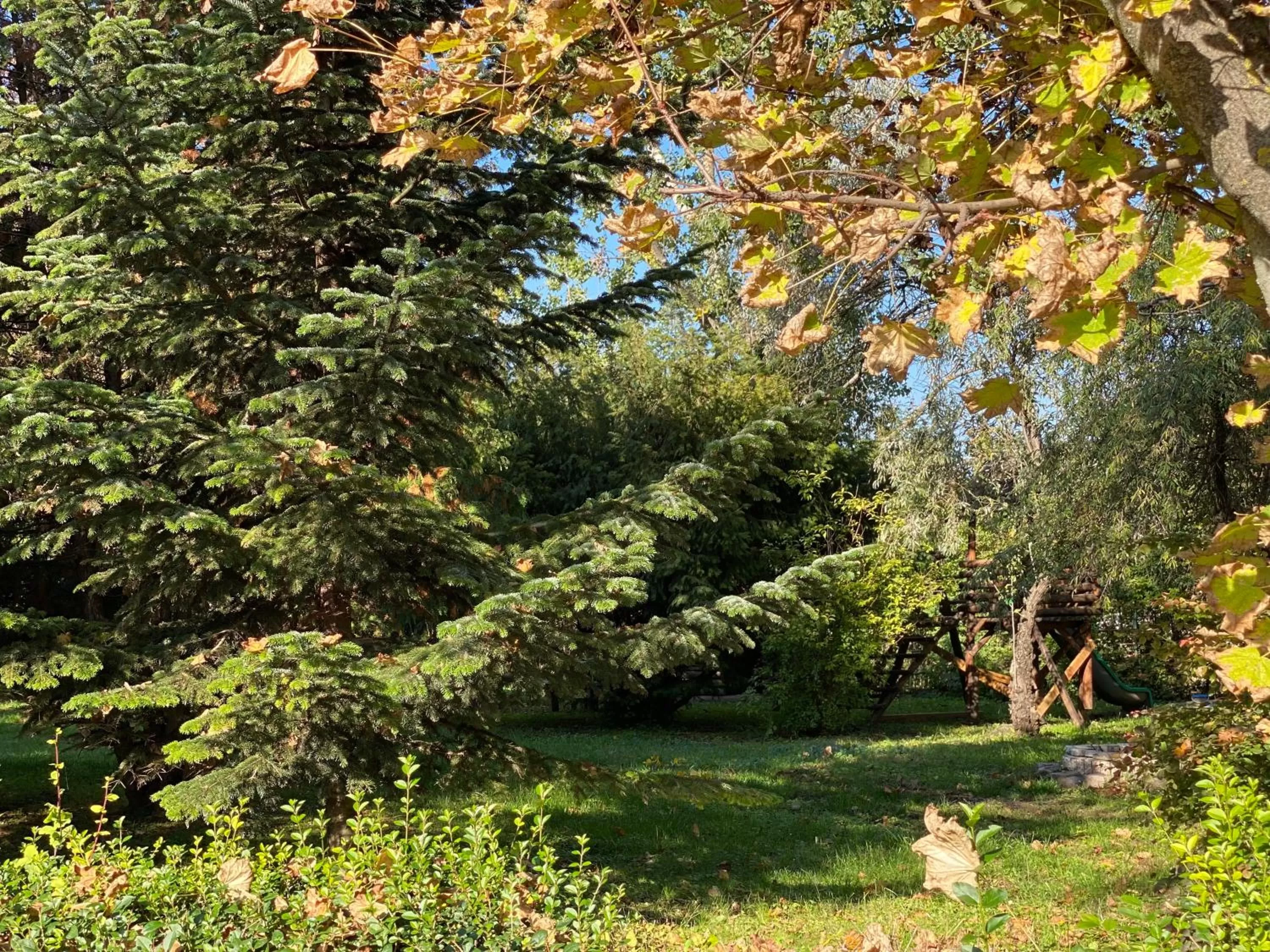 Off site, Garden in A Fogadó