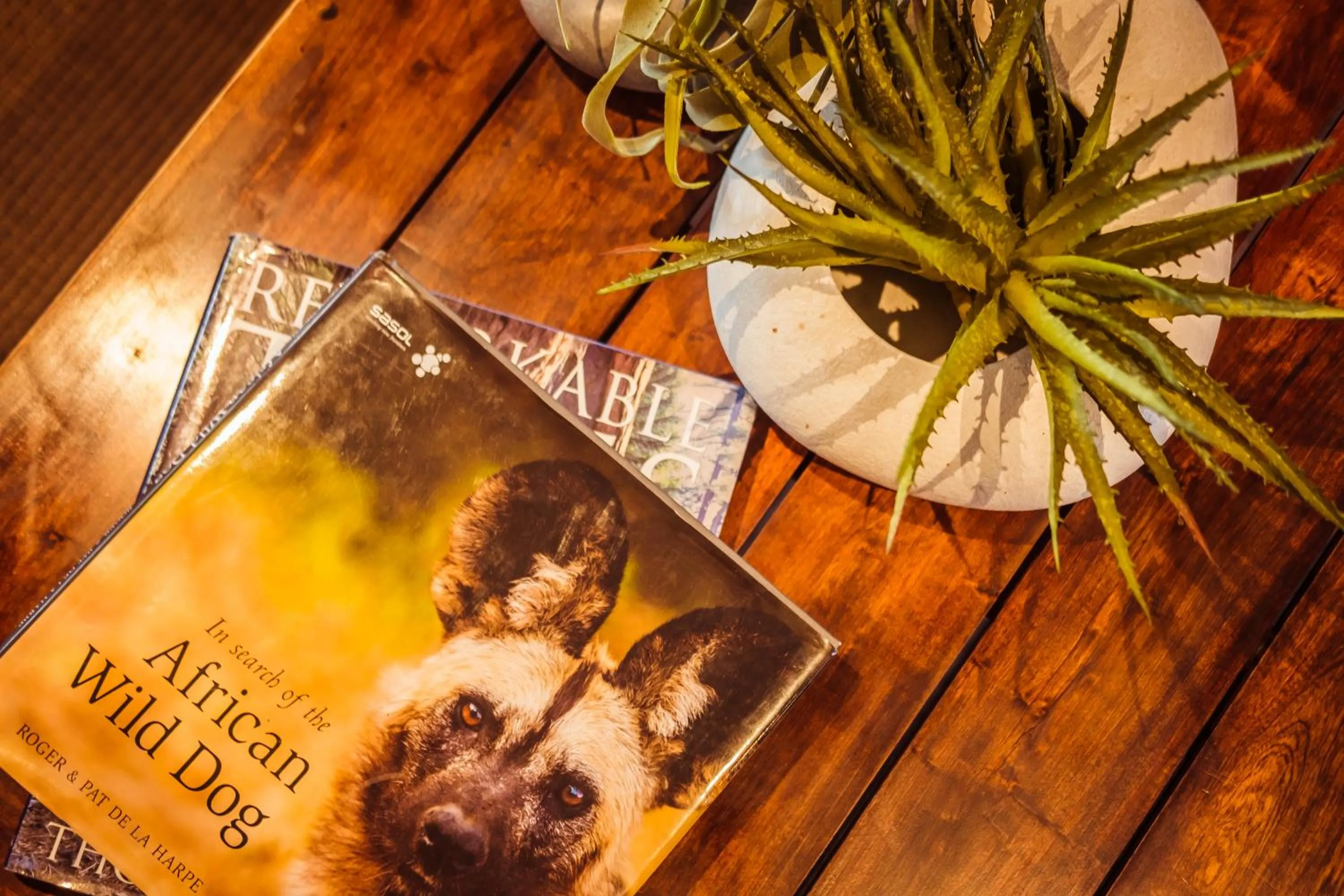 Communal lounge/ TV room in Bushveld Terrace Safari Hotel, Lodge & Spa