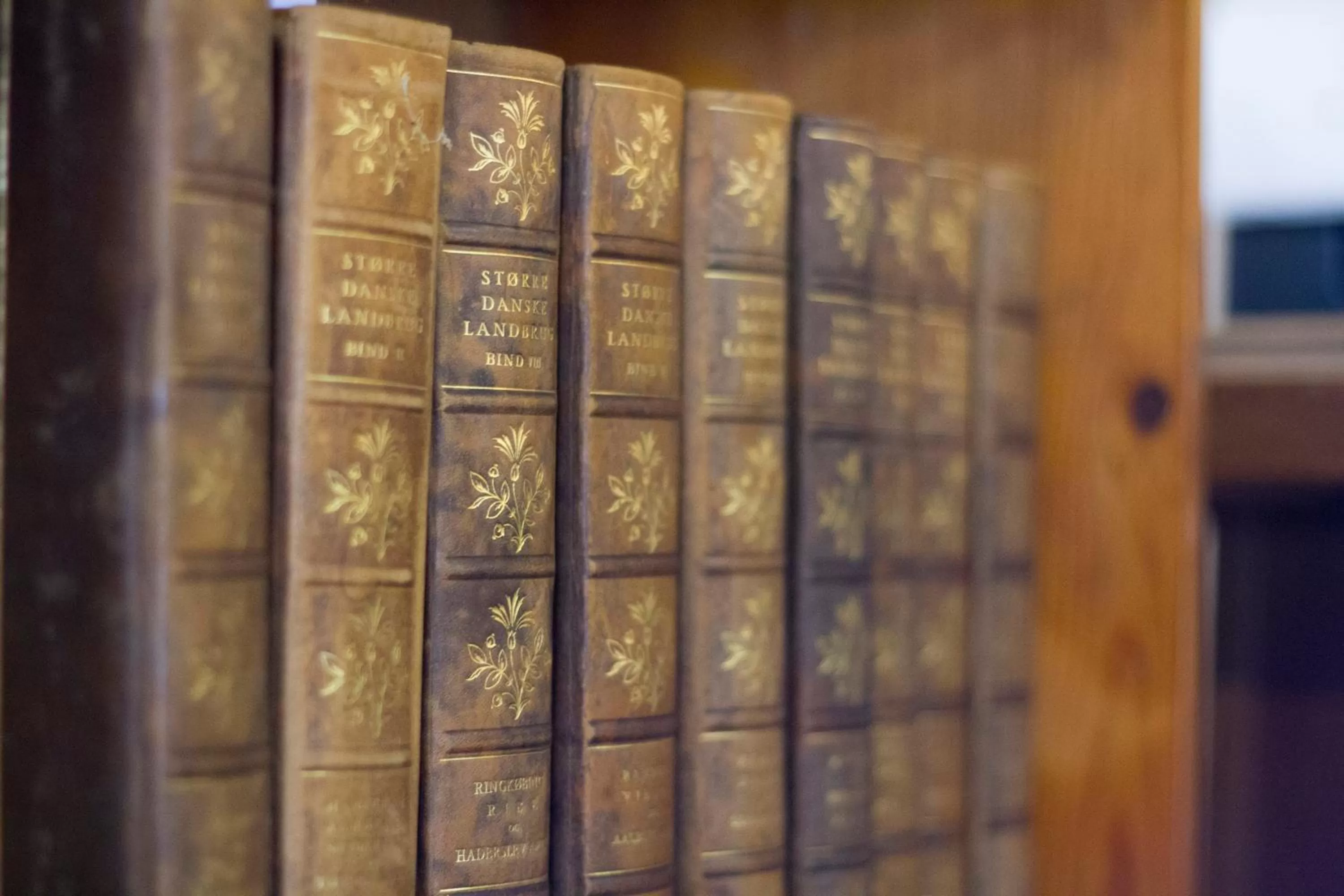 Activities in Rønhave